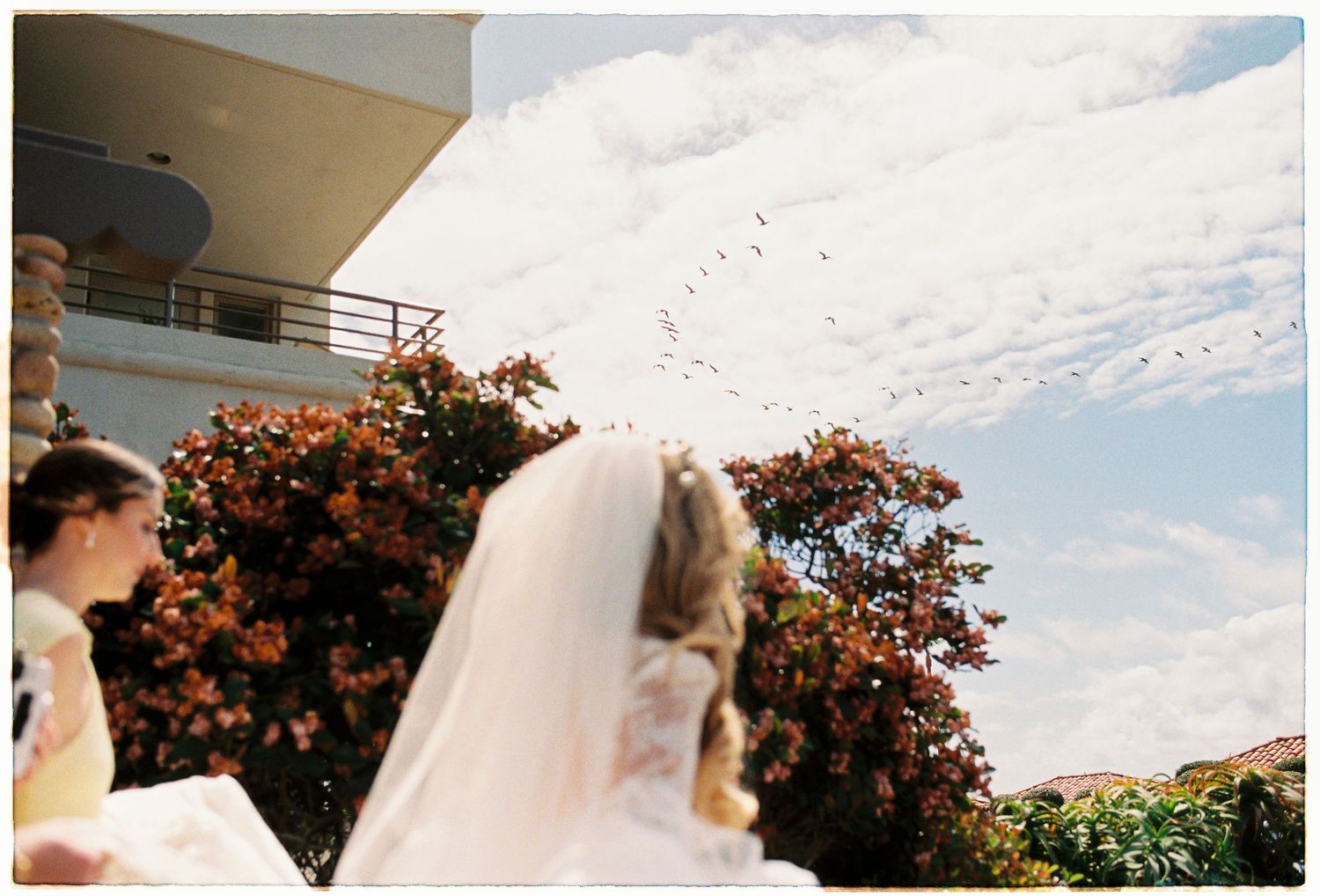 Bride in a lace gown and veil stands outdoors with a flock of birds soaring in the blue sky.