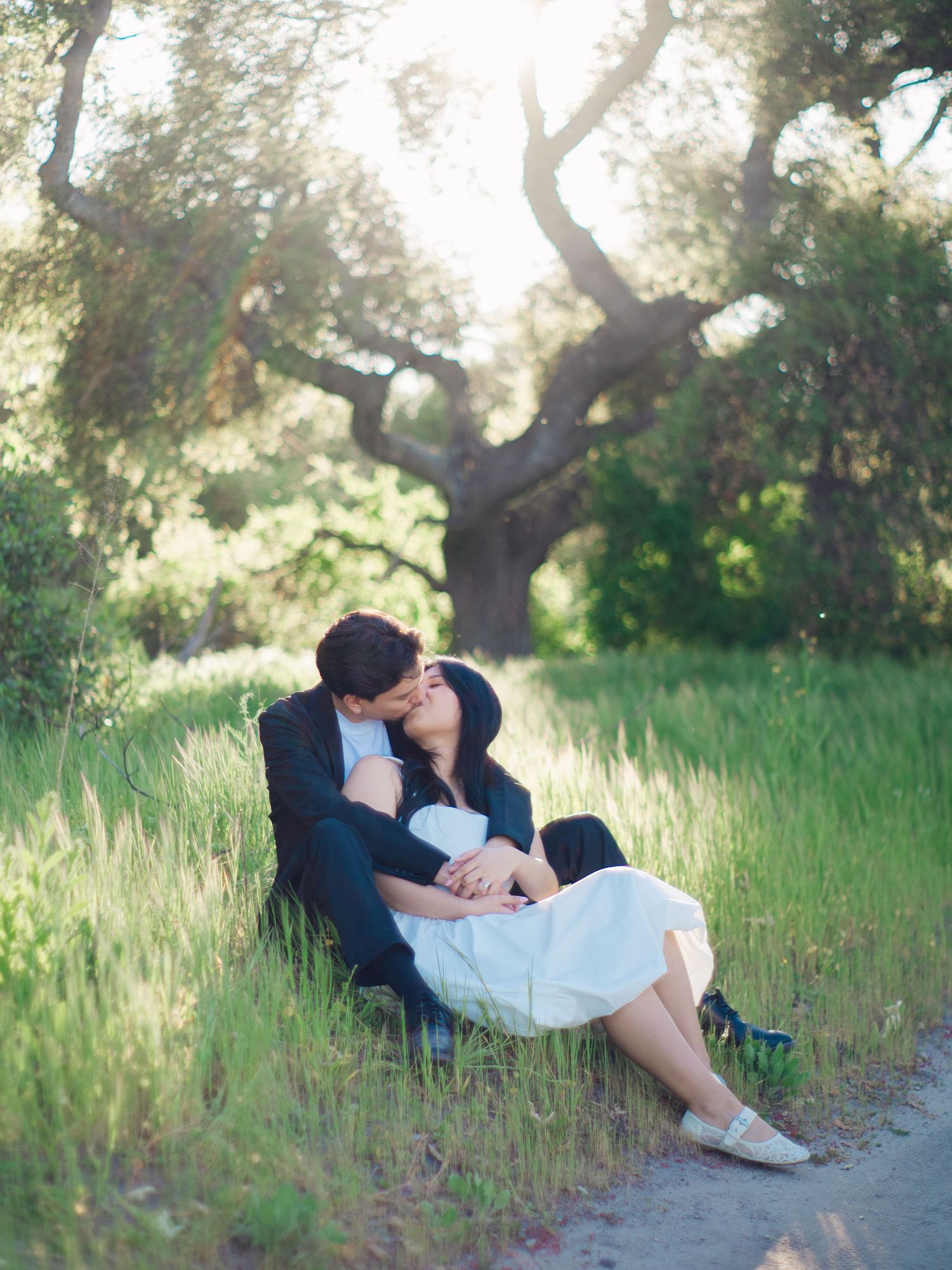 Couple shares romantic kiss while sitting in tall grass beneath oak tree at golden hour.
