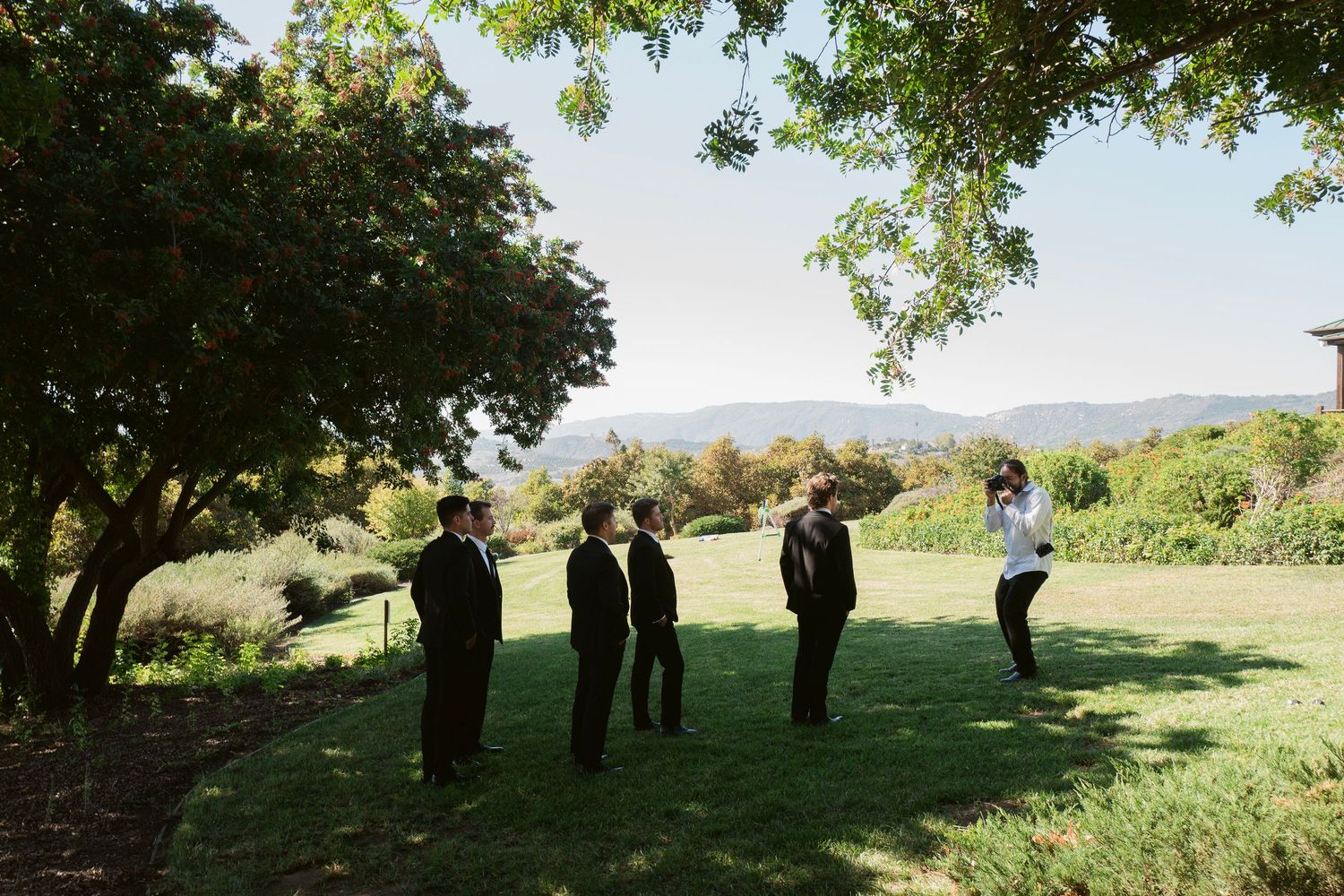 Groomsmen gathered on a green lawn beneath a shady tree with scenic mountain views in the background.