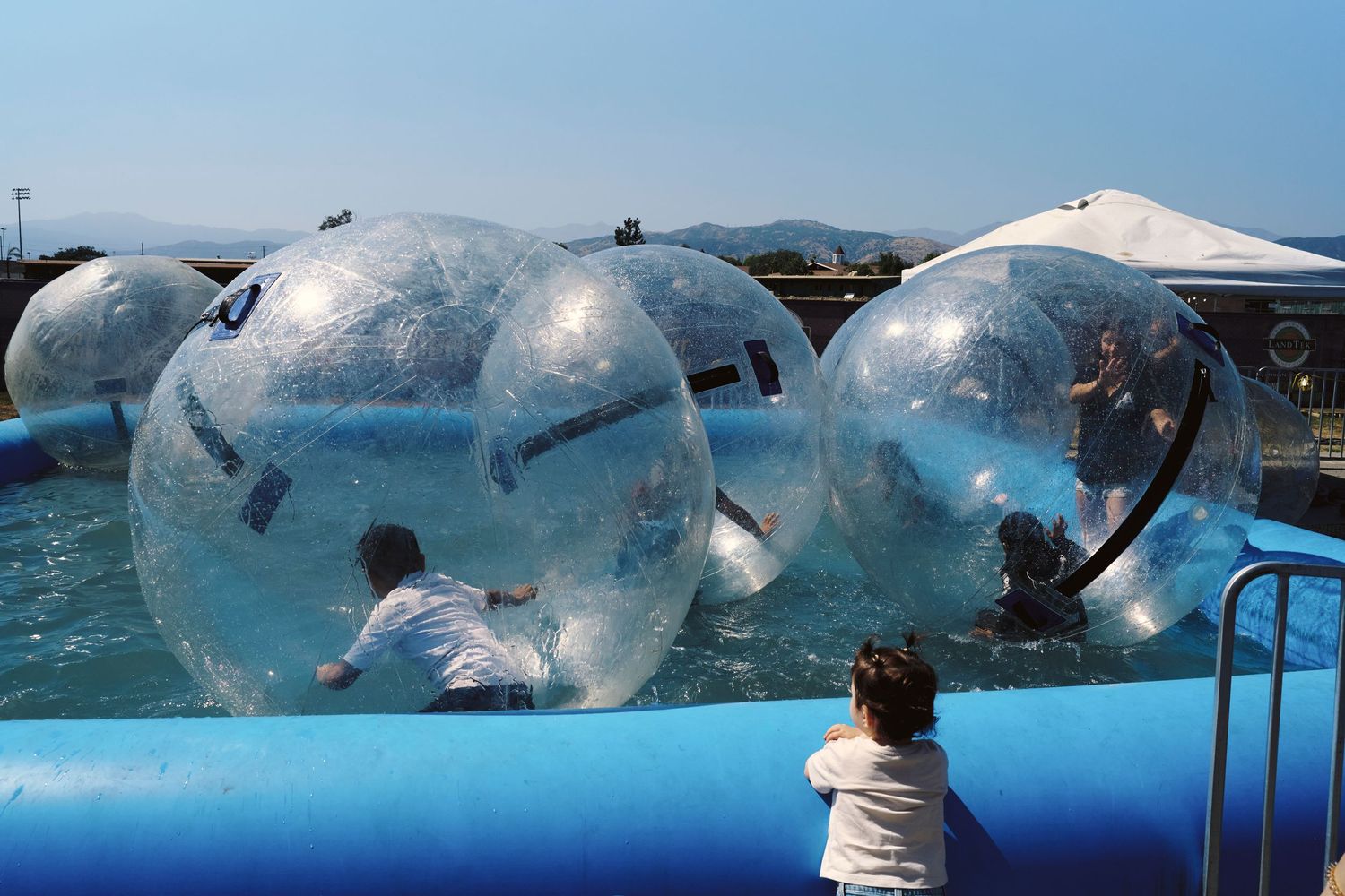 Children playing inside large transparent inflatable water balls in an outdoor blue pool.
