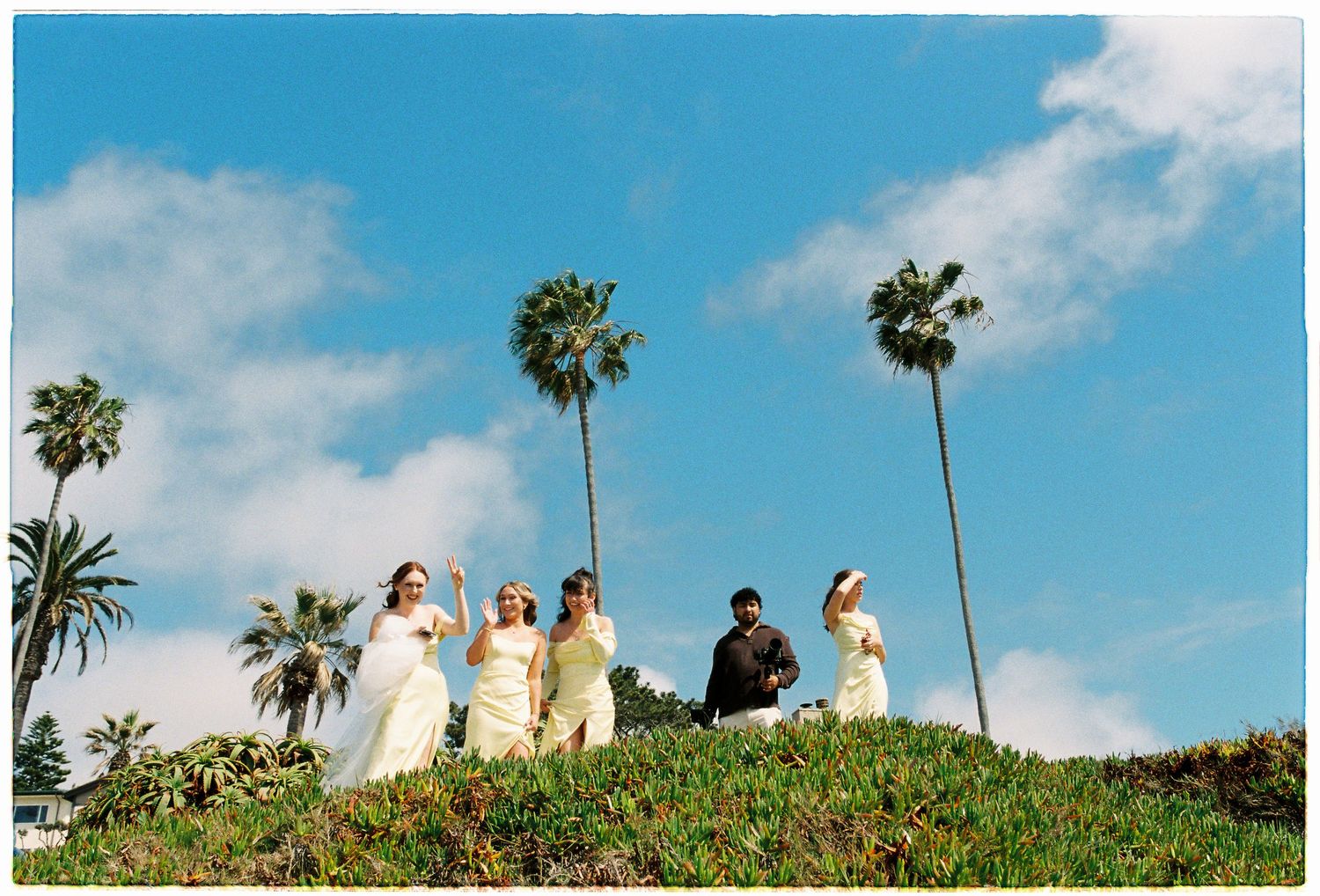 Wedding party stands on grassy hill with tall palm trees against bright blue sky at outdoor ceremony.