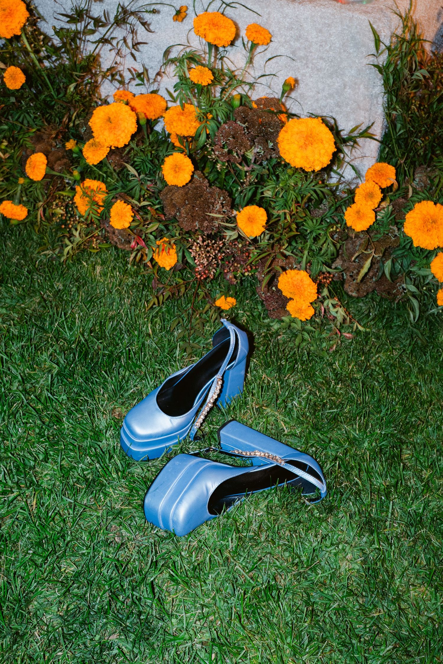 Blue platform heels resting on green grass with vibrant orange marigold flowers in the background.