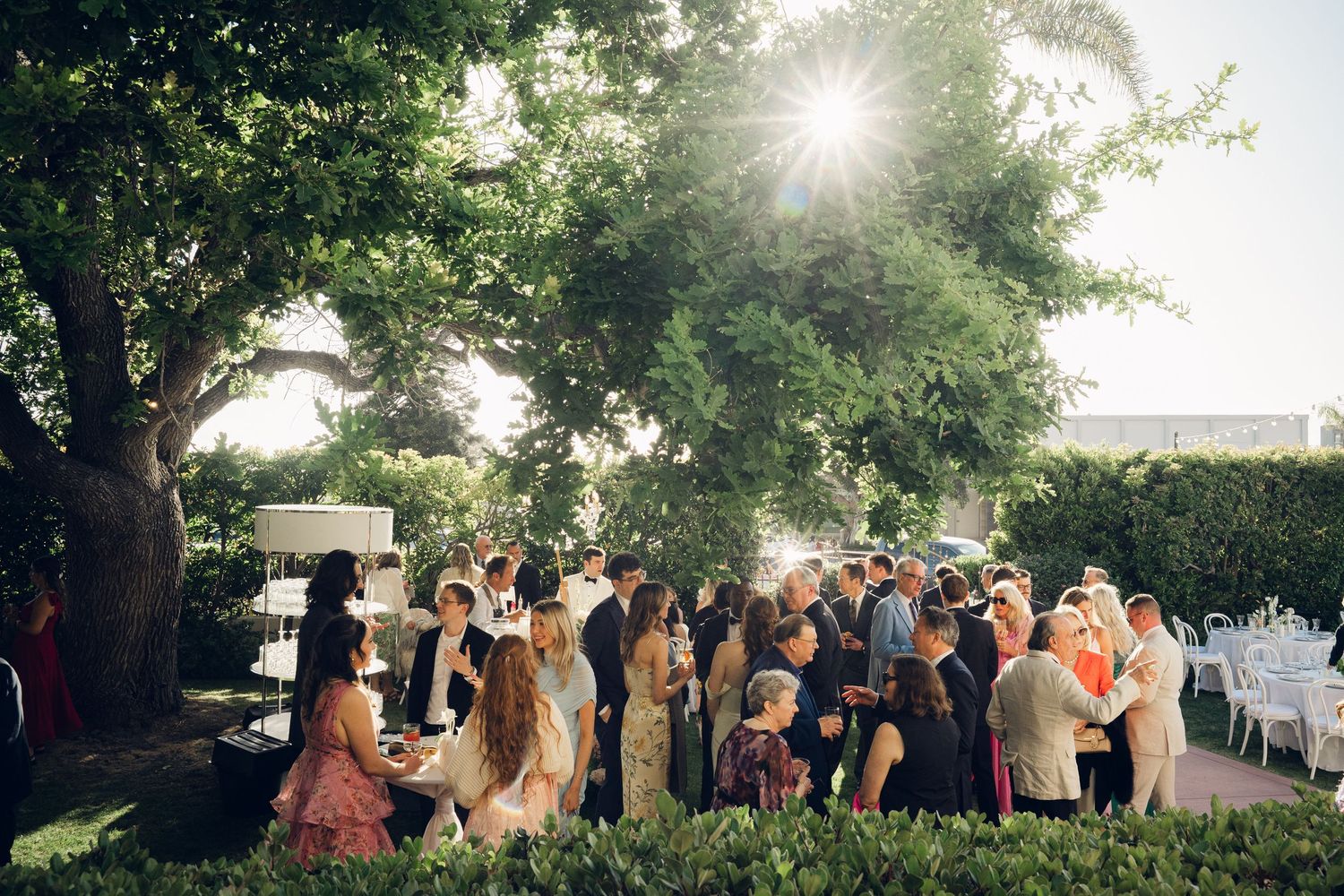 Wedding guests mingle under sunlit trees during outdoor garden cocktail hour reception.