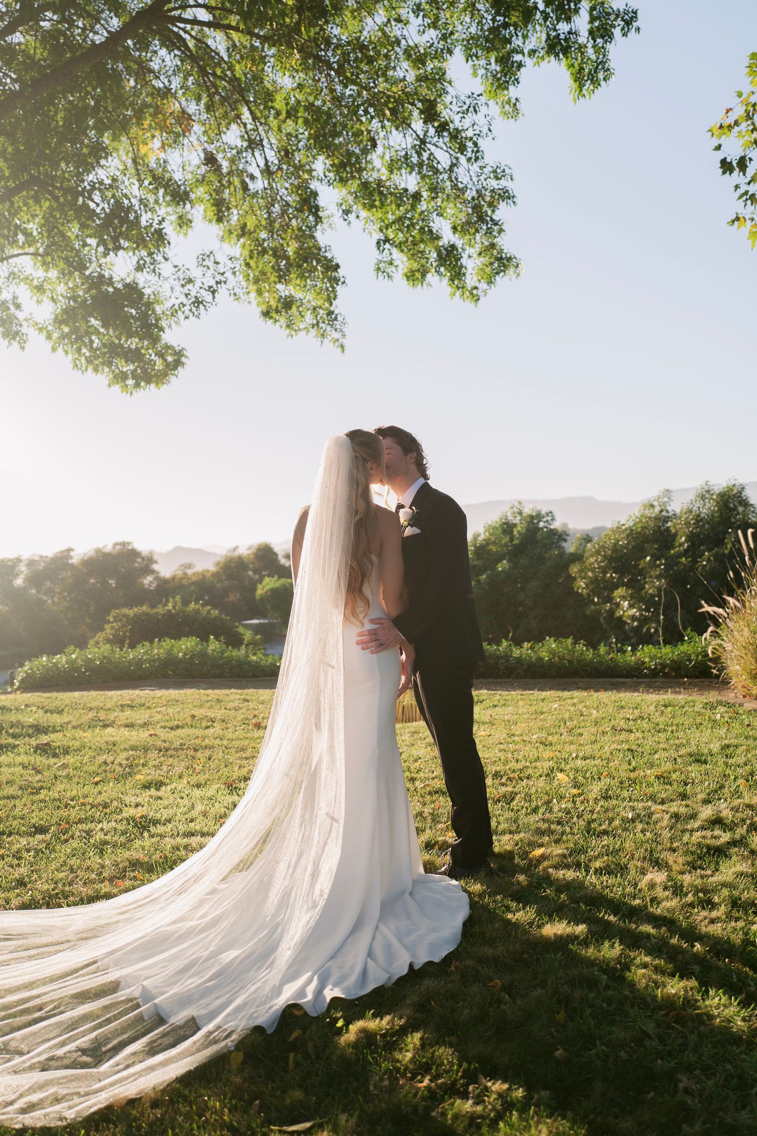 Bride and groom kissing under a large tree with cathedral veil flowing and mountain views behind.