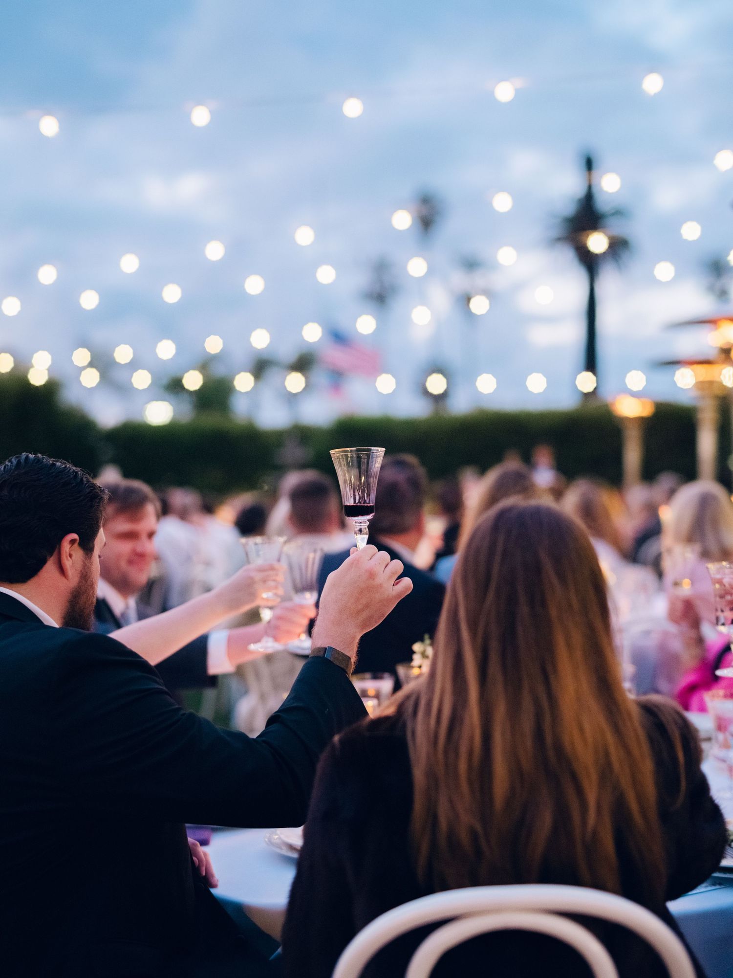 Wedding guests raise wine glasses in a toast under glowing string lights at an outdoor evening reception.