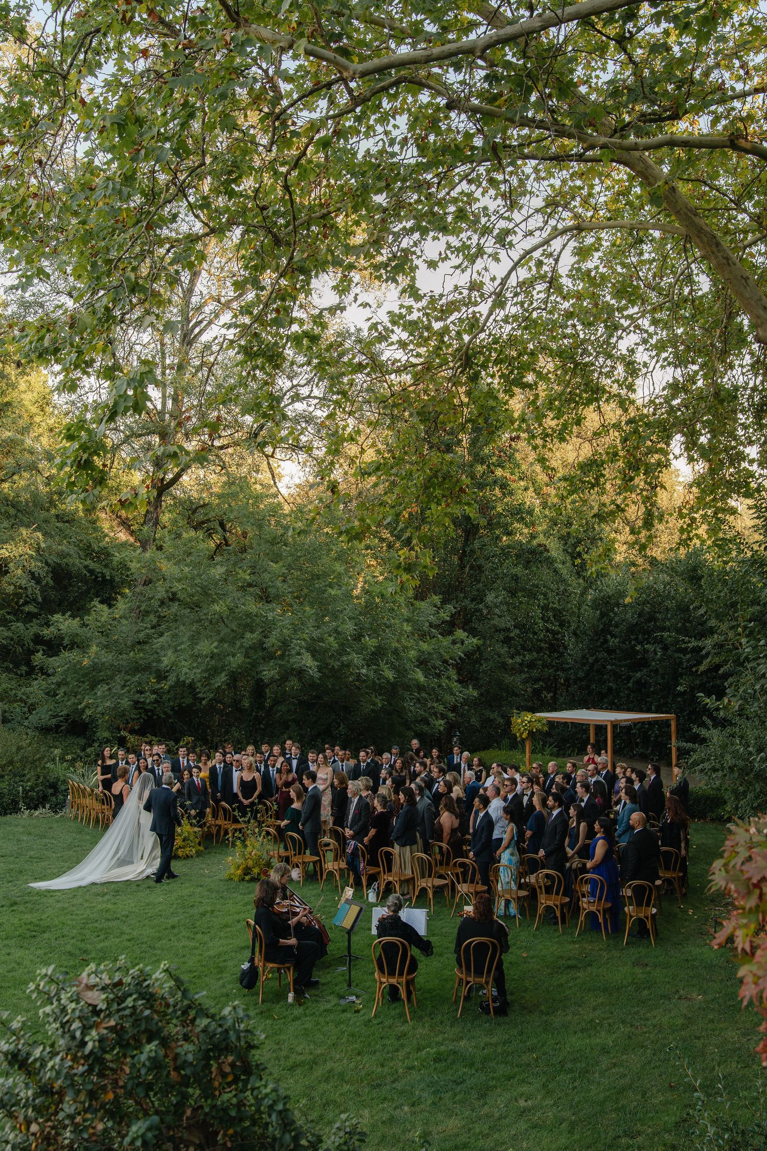 Outdoor garden wedding ceremony with guests seated on wooden chairs as a bride in a white gown and groom stand beneath tall green trees.