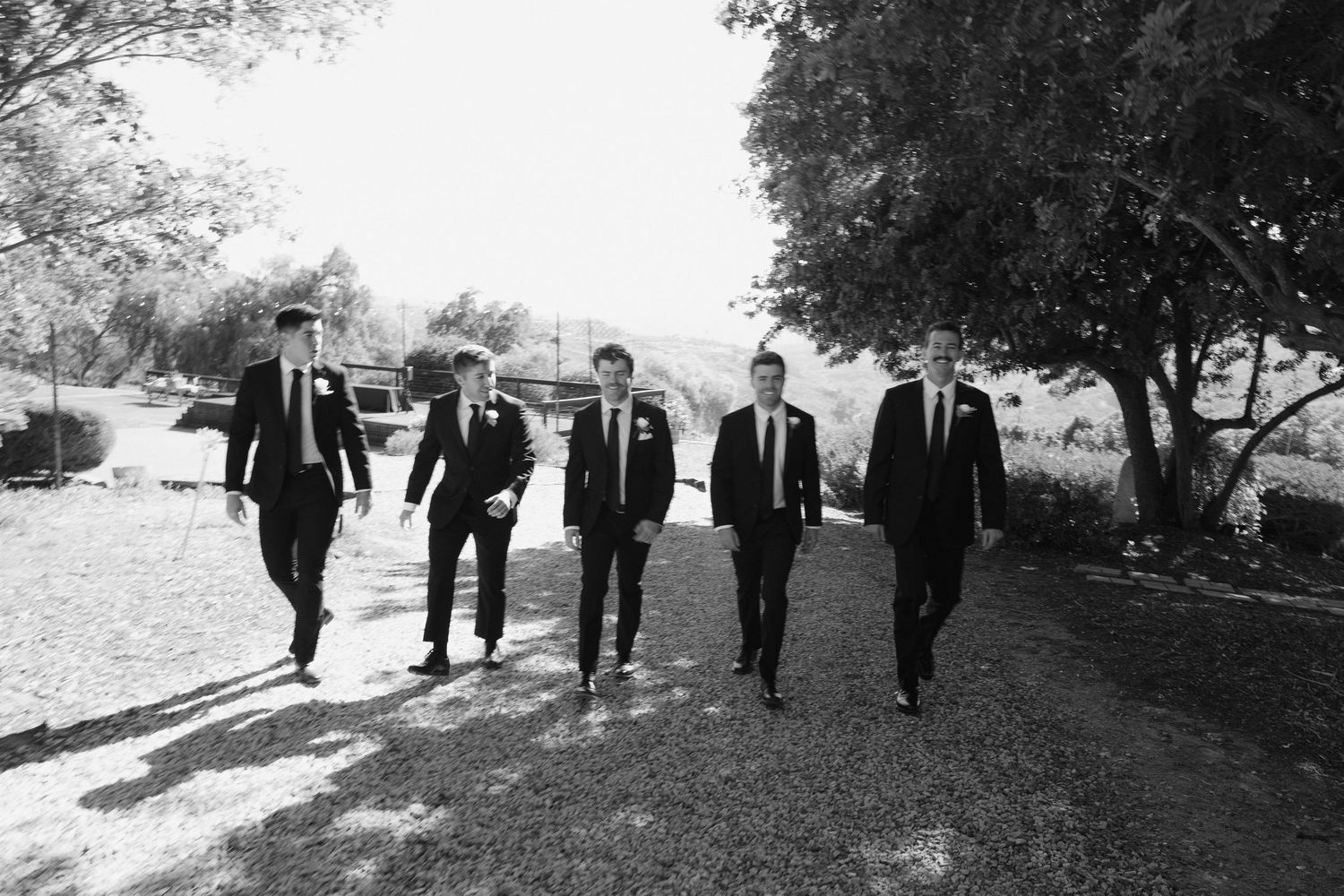 Black and white photo of five groomsmen in dark suits walking confidently down a sunlit gravel path.