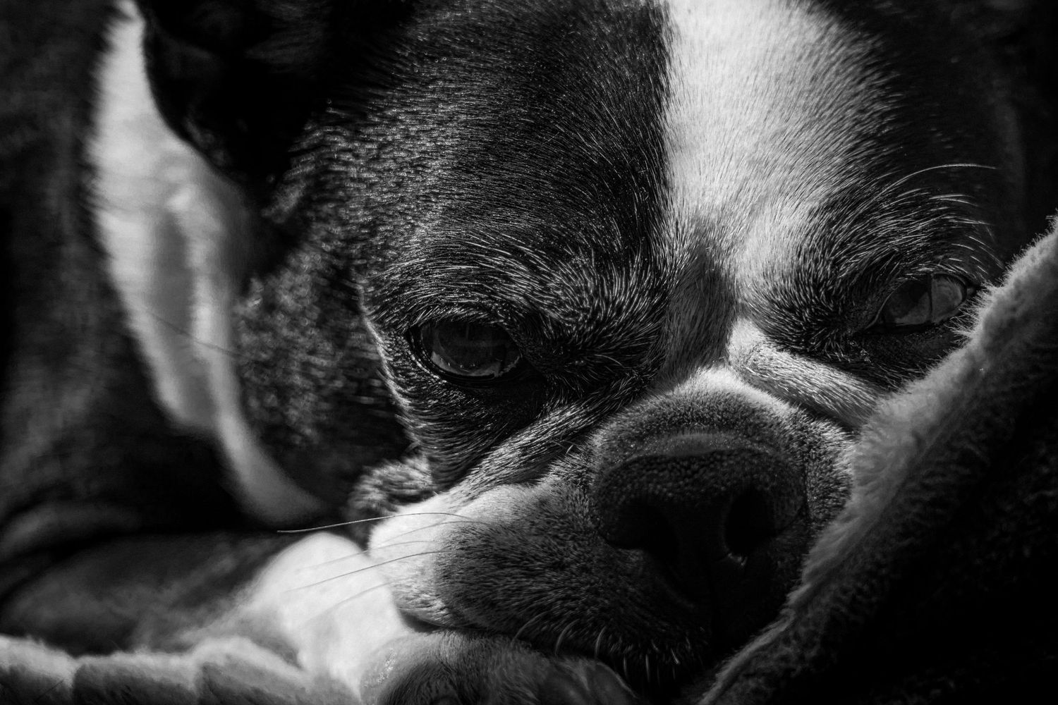 Maya 2025 
Shot in a Sony Alpha 
By Sam