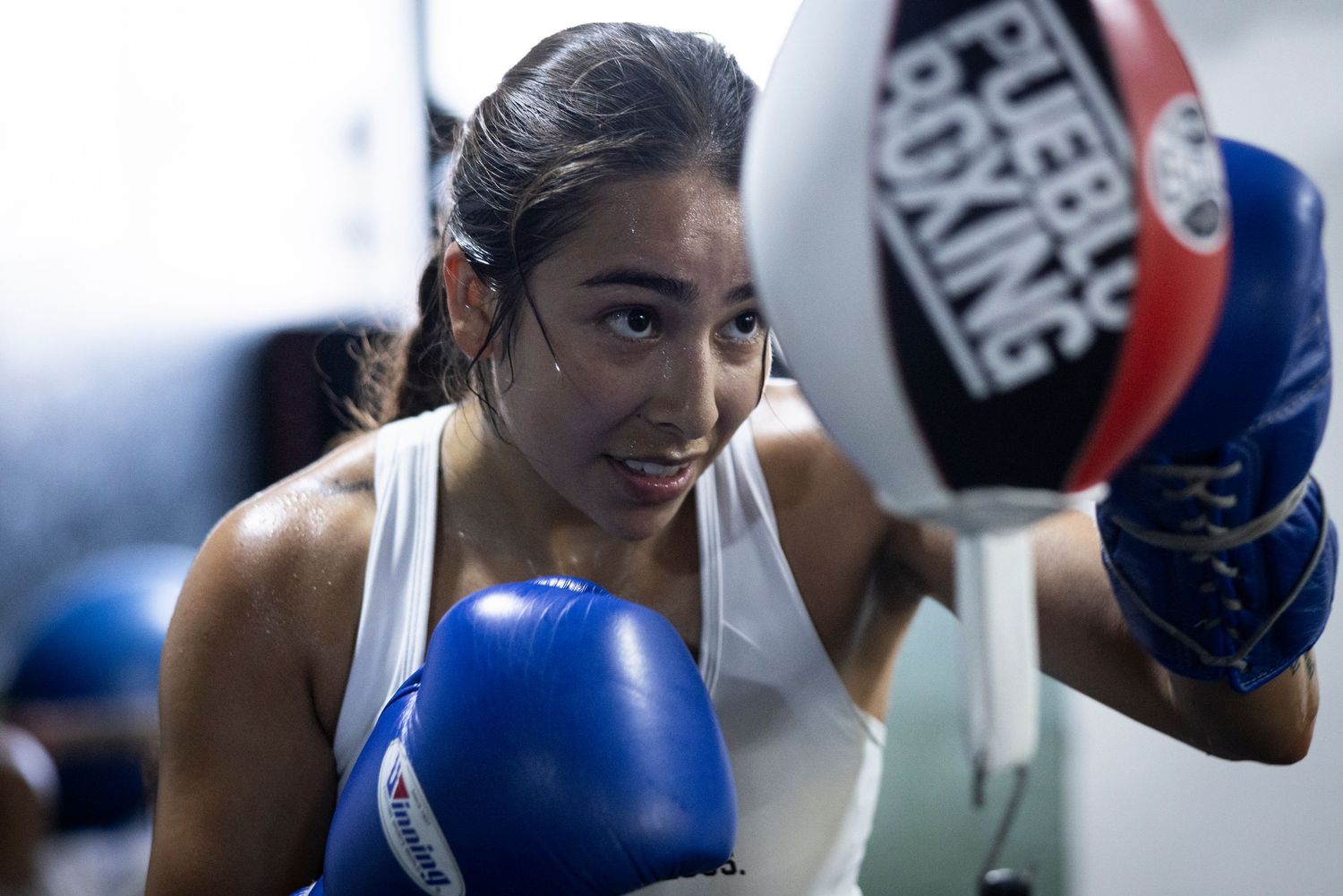 Boxer practicing with a speed bag in fitness gym wearing blue gloves.