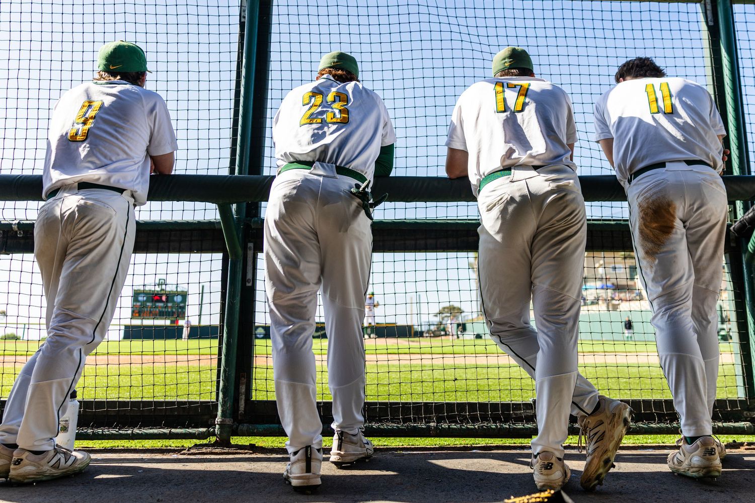 Four baseball players in green and white uniforms stand with backs turned, leaning against a chain-link fence dugout.