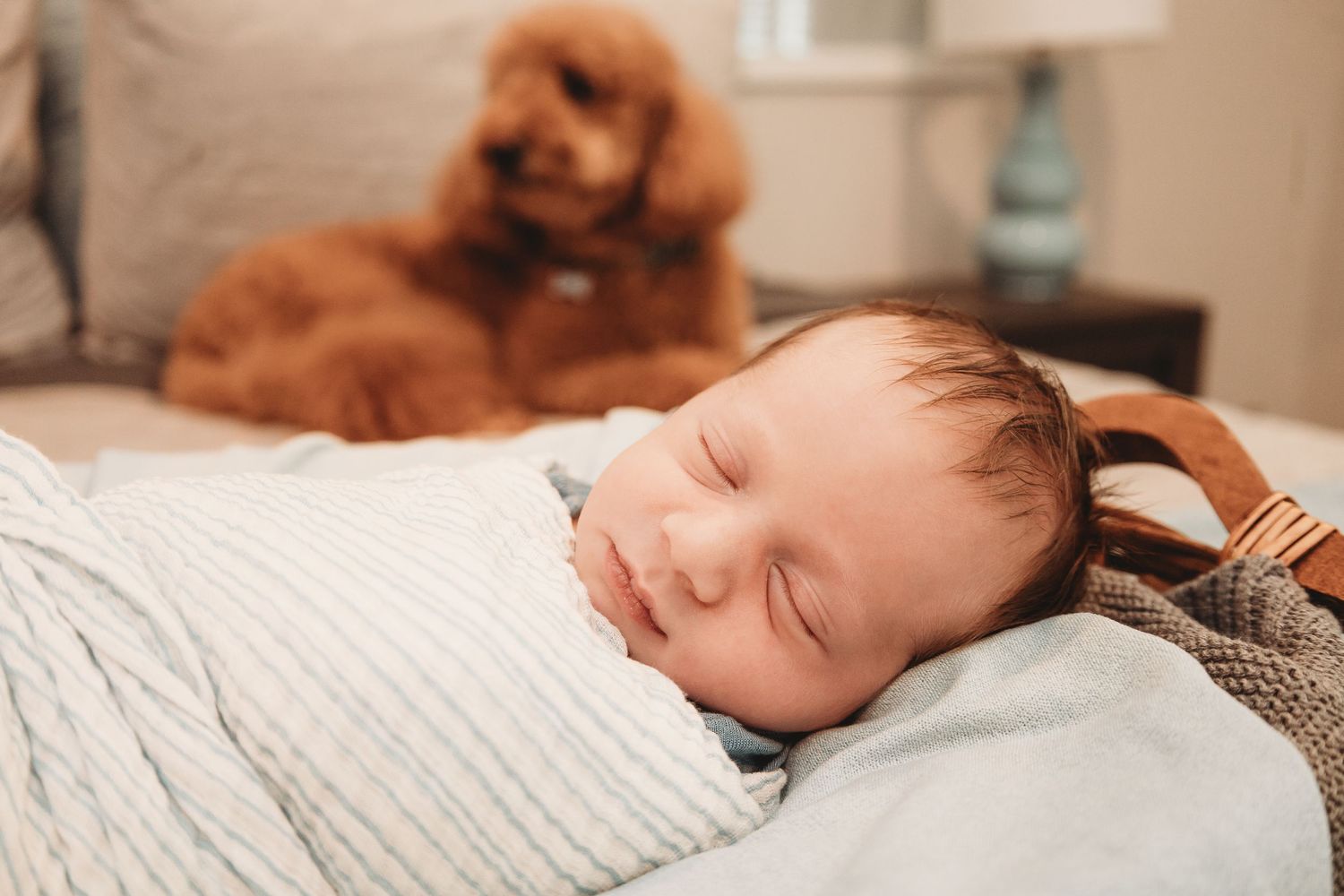 Sleeping newborn baby resting peacefully on white bedding.