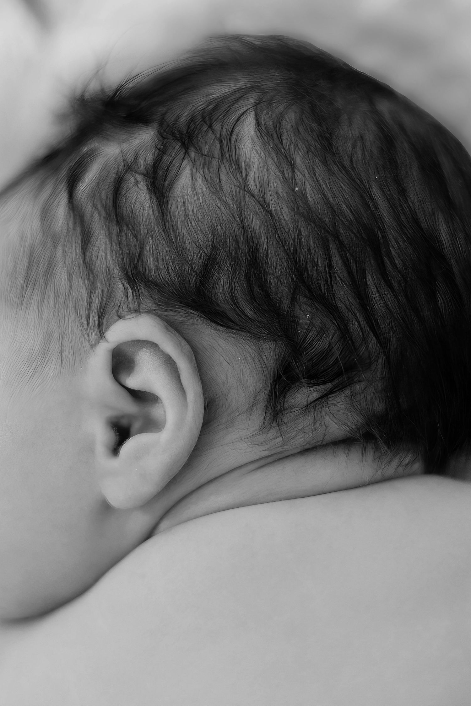 Black and white macro photograph showing newborn baby hair and ear details.