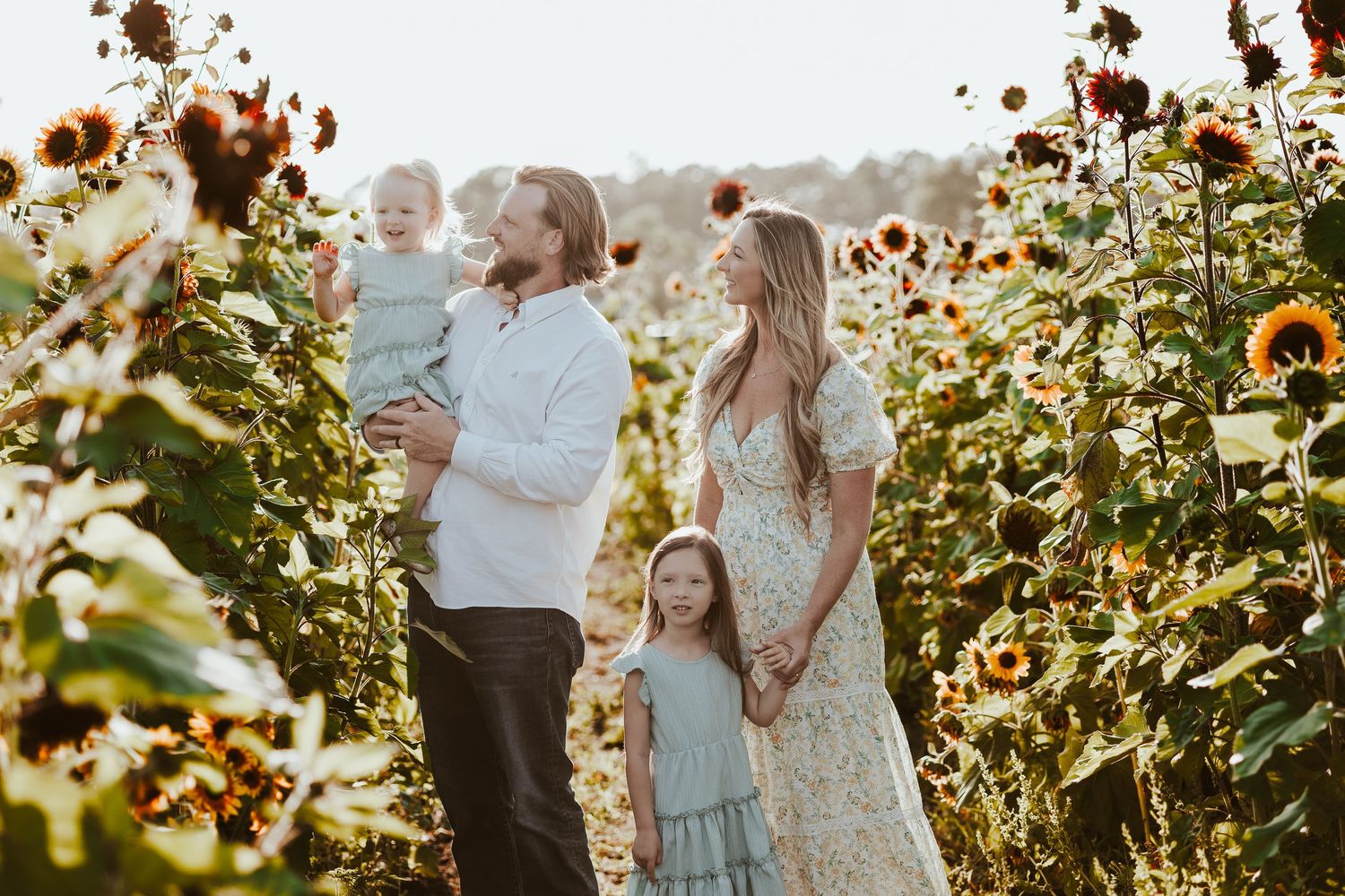 Family photo session among tall sunflowers with golden sunlight filtering through.