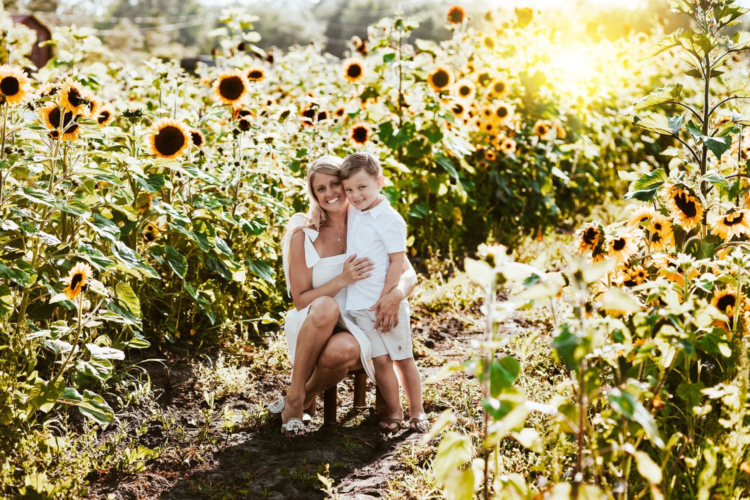 Family gathering in sunflower field with golden sunset light streaming through flowers.