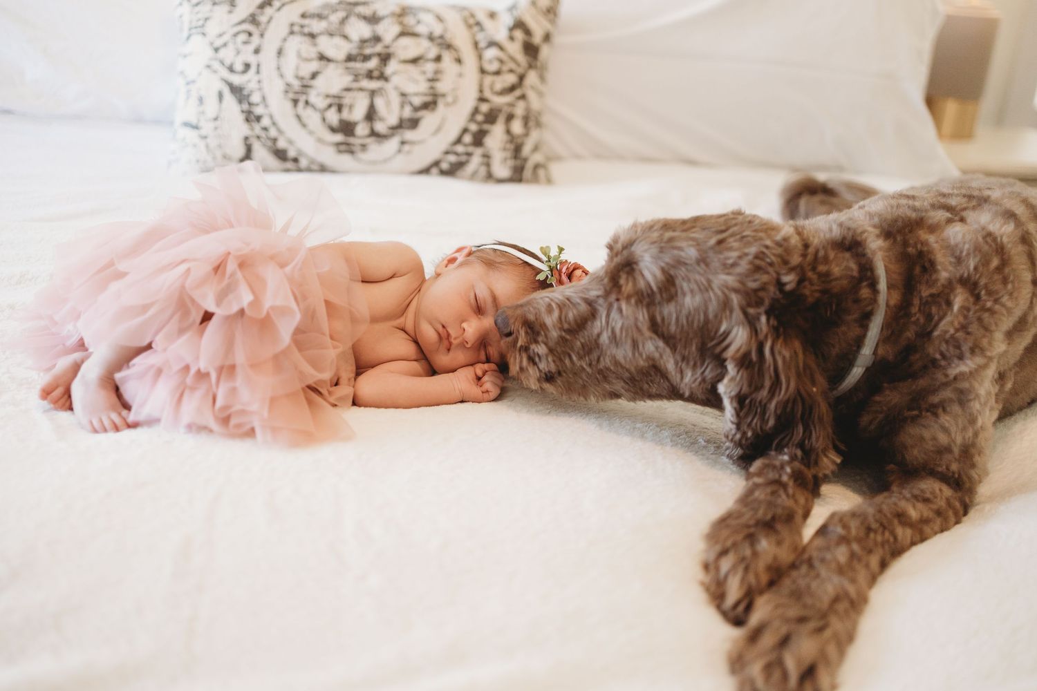 A sleeping newborn in pink tulle outfit lies next to a brown dog on white bedding.