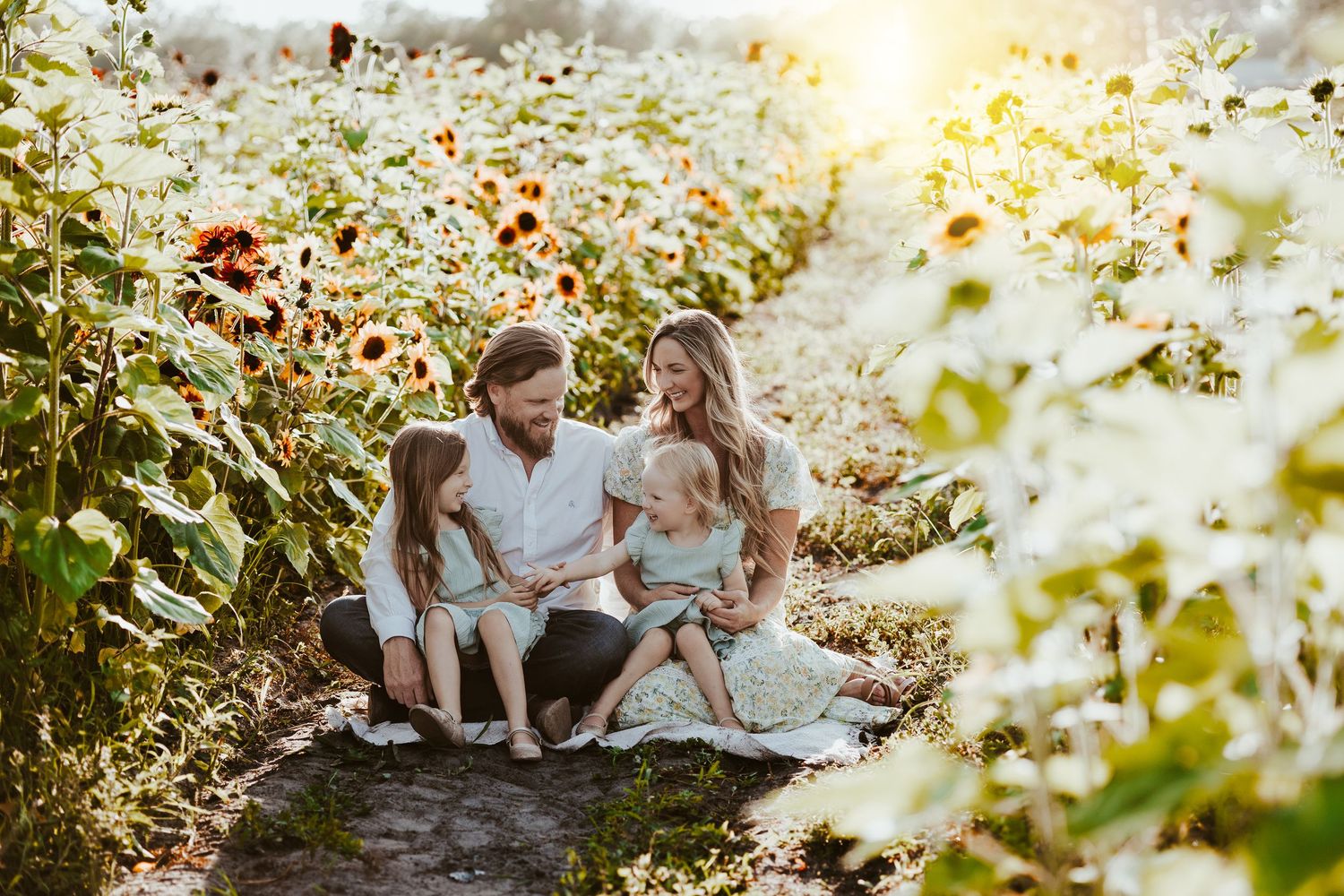 Family sitting together in sunflower field bathed in warm evening light.