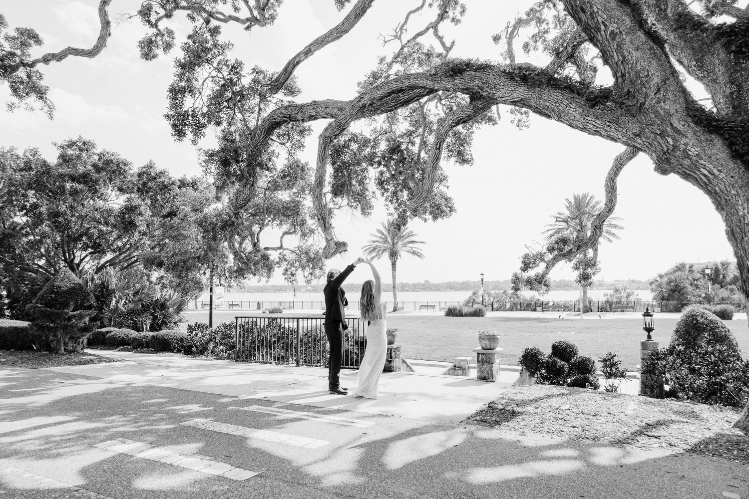 A black and white photograph captures a serene pathway beneath sprawling oak trees.