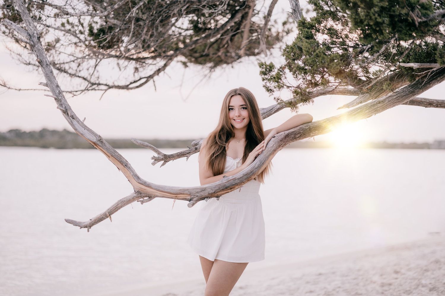 Artistic beach photoshoot with driftwood and sunset lighting.