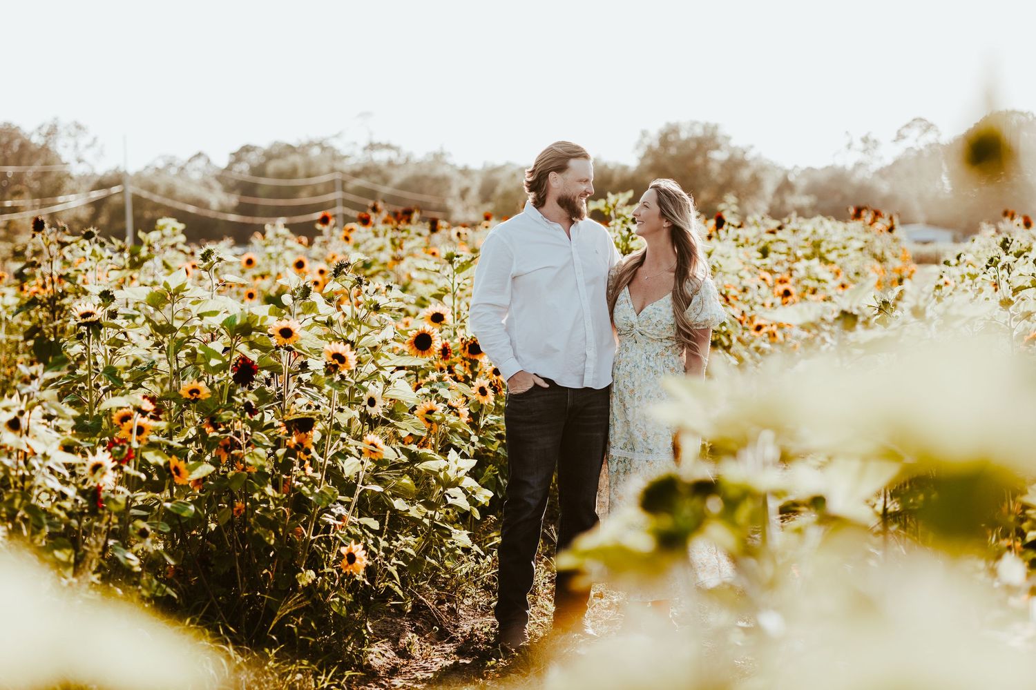 Intimate family portrait session among blooming sunflowers at sunset.