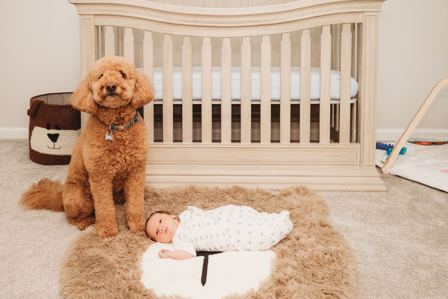 Nursery room featuring wooden crib, plush rug, and teddy bear decor.
