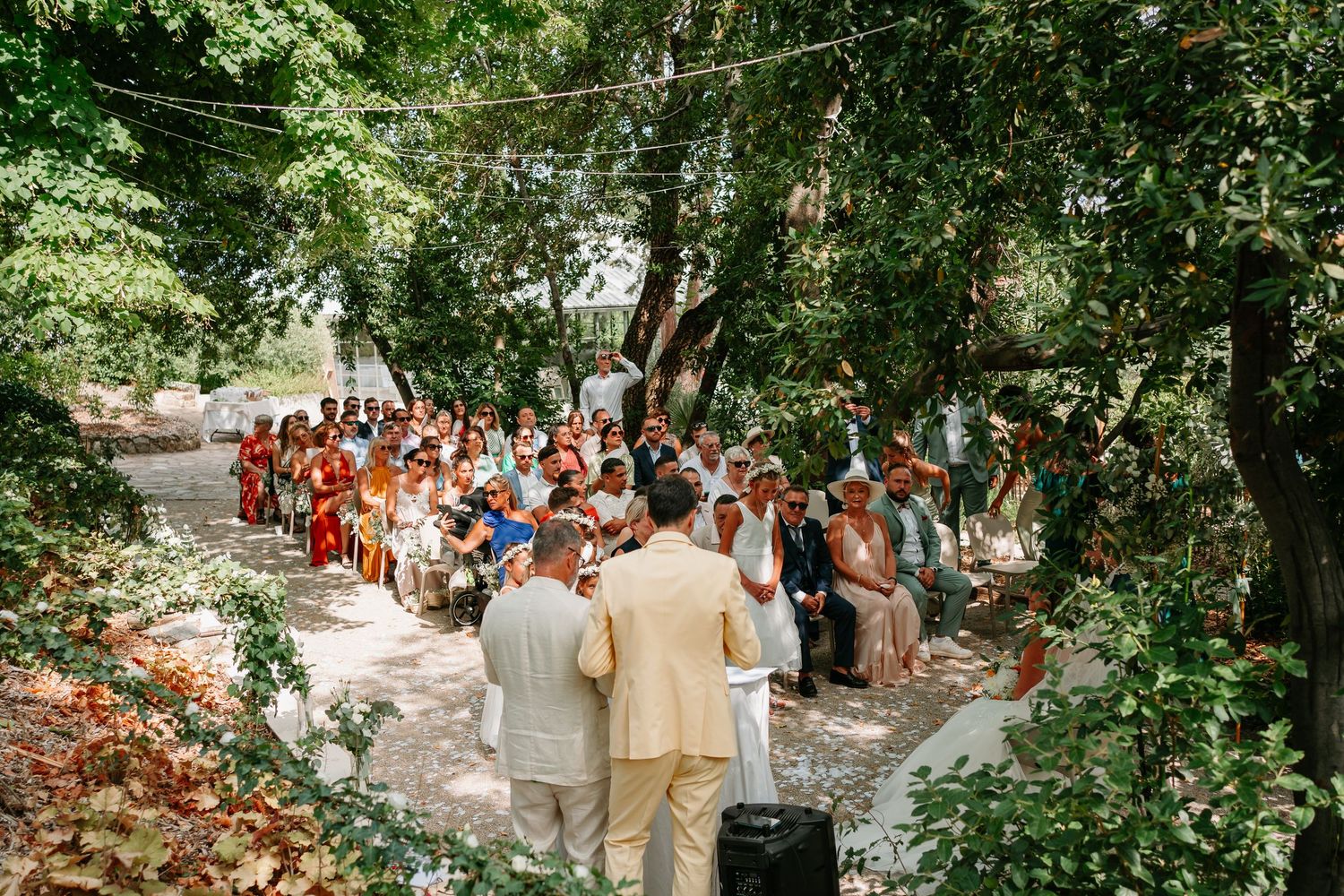 A wedding ceremony takes place on a tree-lined pathway with guests in formal attire gathered outdoors.
