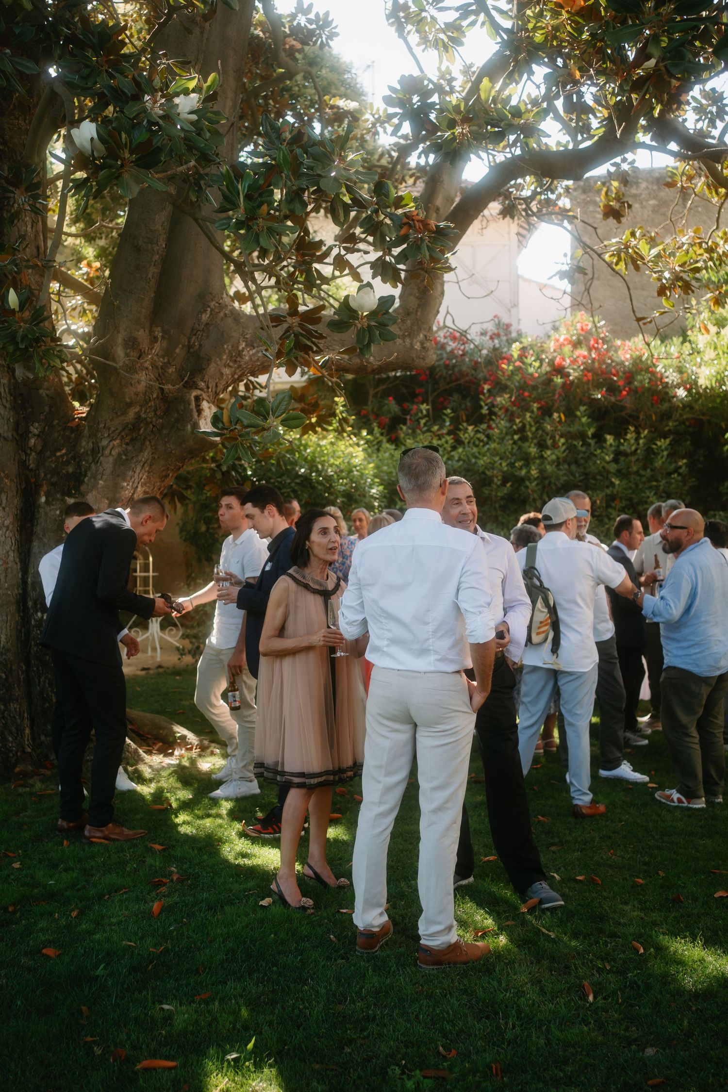Wedding guests mingle and socialize in a sun-dappled garden setting with trees overhead.