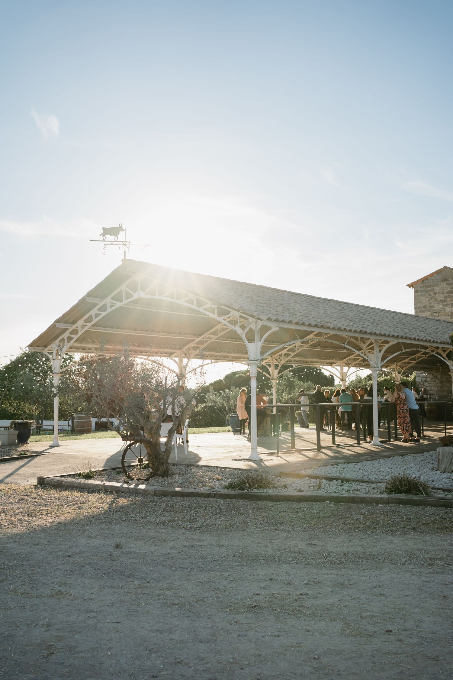 Sunlit outdoor pavilion with white decorative ironwork and weather vane, guests gathering at golden hour.