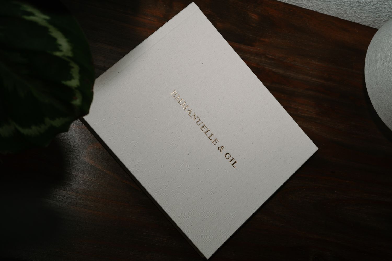 A white book or album with gold lettering lies on a dark wooden surface with a plant visible in the corner.