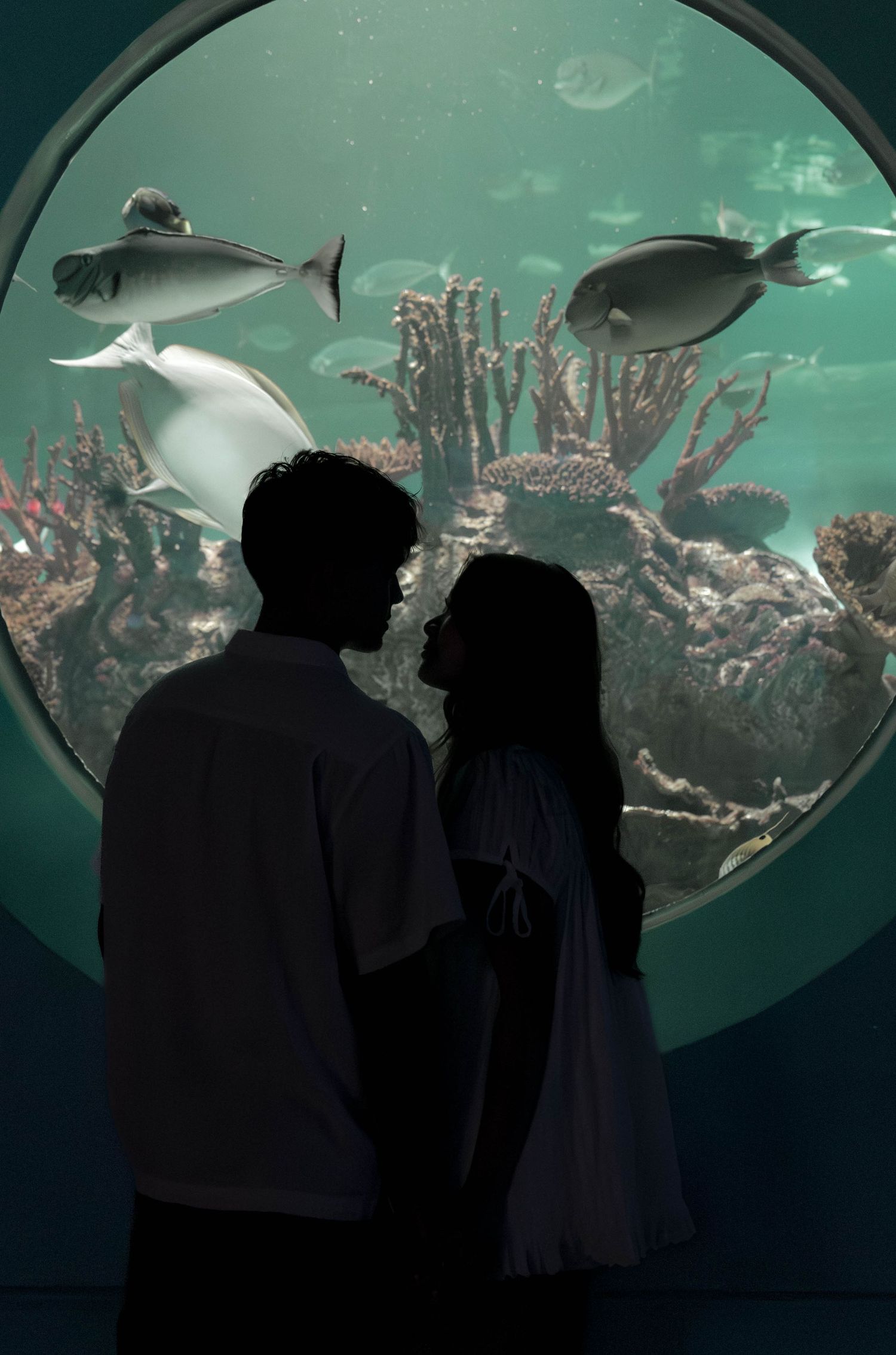 Silhouettes observe marine life through a large aquarium window with turquoise lighting.