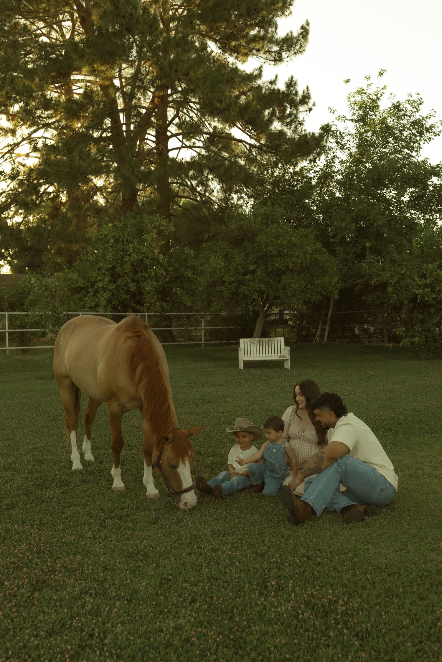 Family sitting on grass with a grazing brown horse at golden hour on a farm.