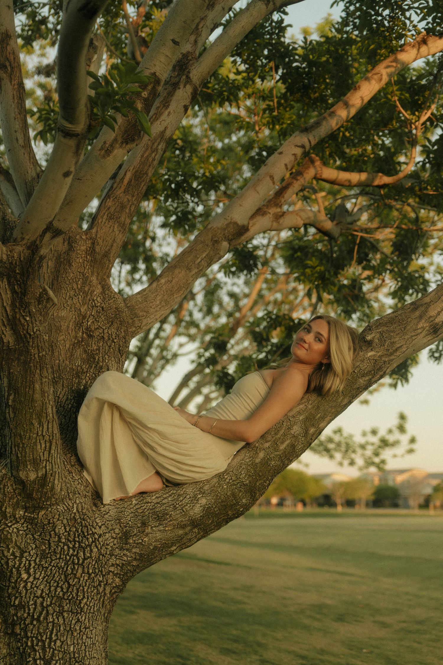 Young blonde woman in cream dress reclining gracefully in a large tree at sunset.