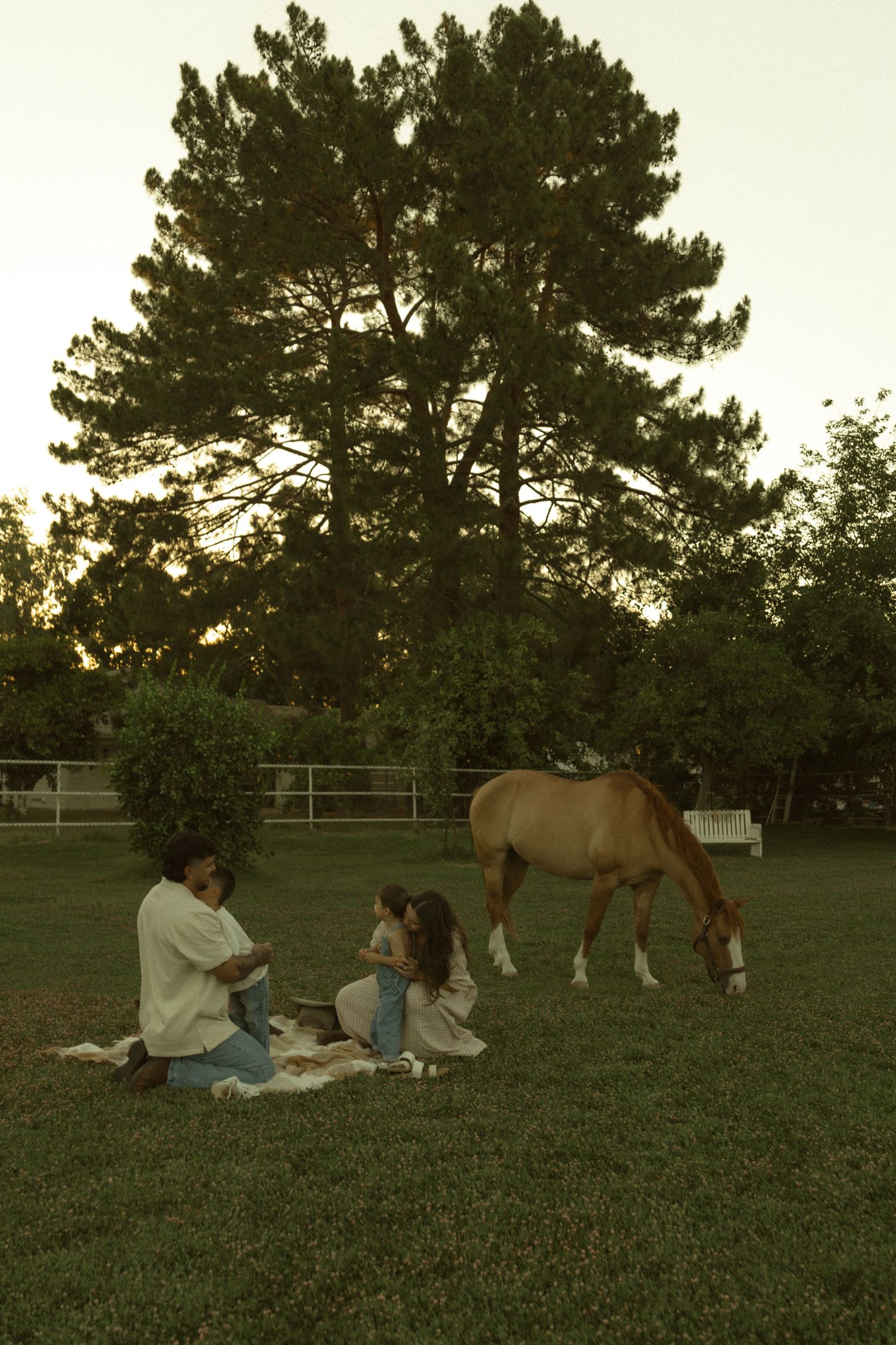 Family enjoying a picnic on green grass beside a grazing brown horse at dusk, with tall pine trees in background.
