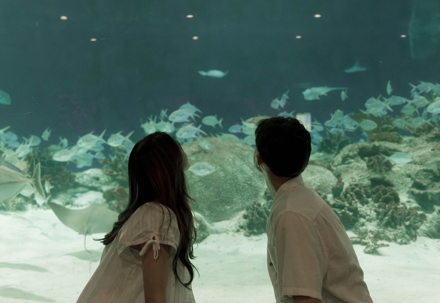 Two people watch tropical fish swimming in a large aquarium tank with turquoise water and sandy bottom.