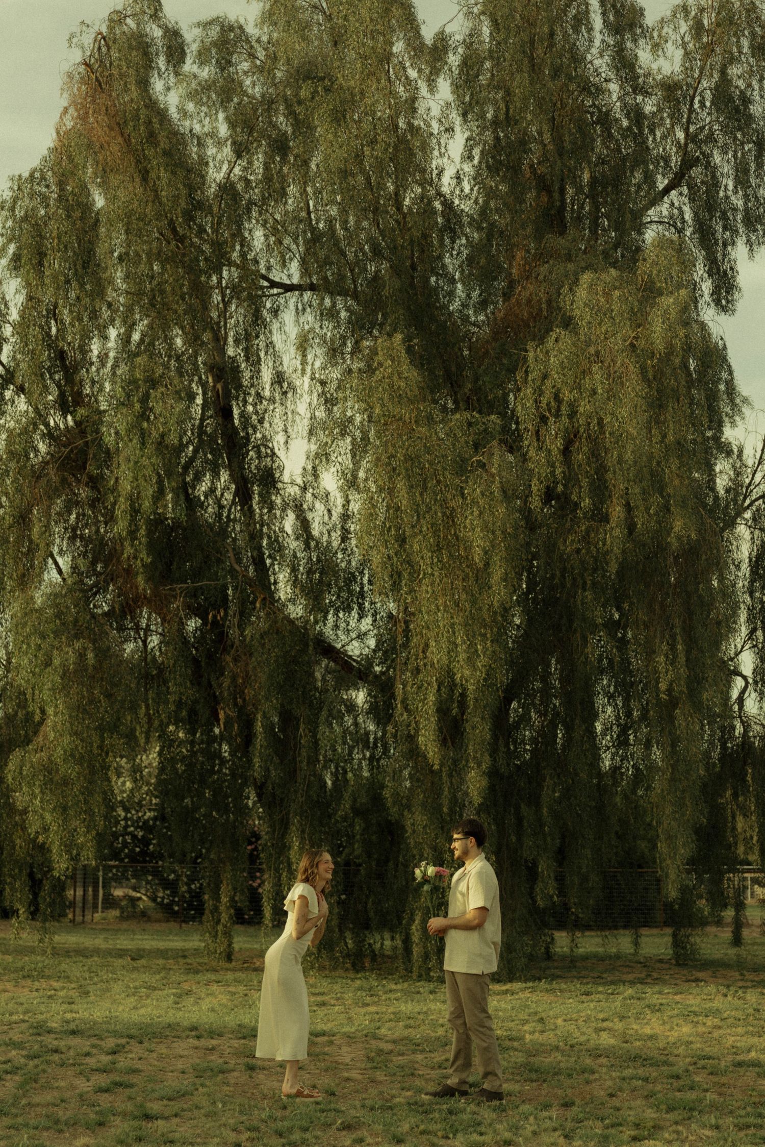 Couple standing apart beneath a large weeping willow tree in a green park, dressed in white and beige outfits.
