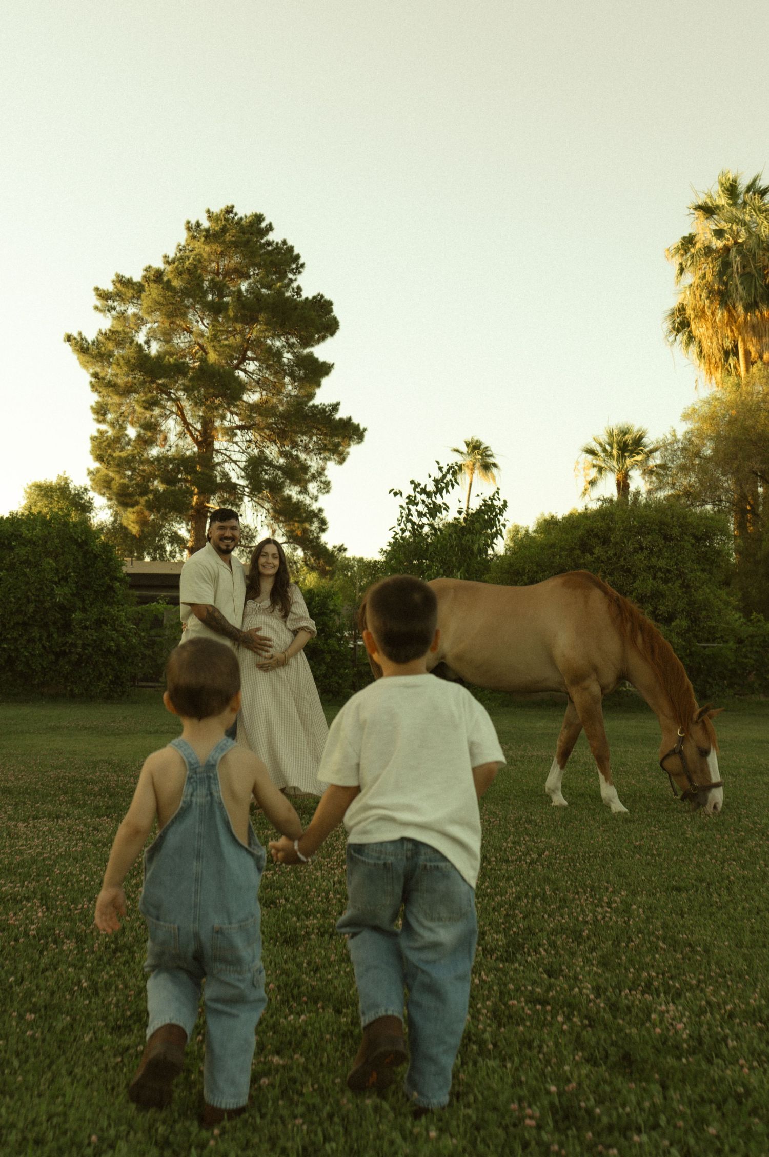 Two young boys holding hands walking toward their parents posing in a field with a grazing horse at dusk.