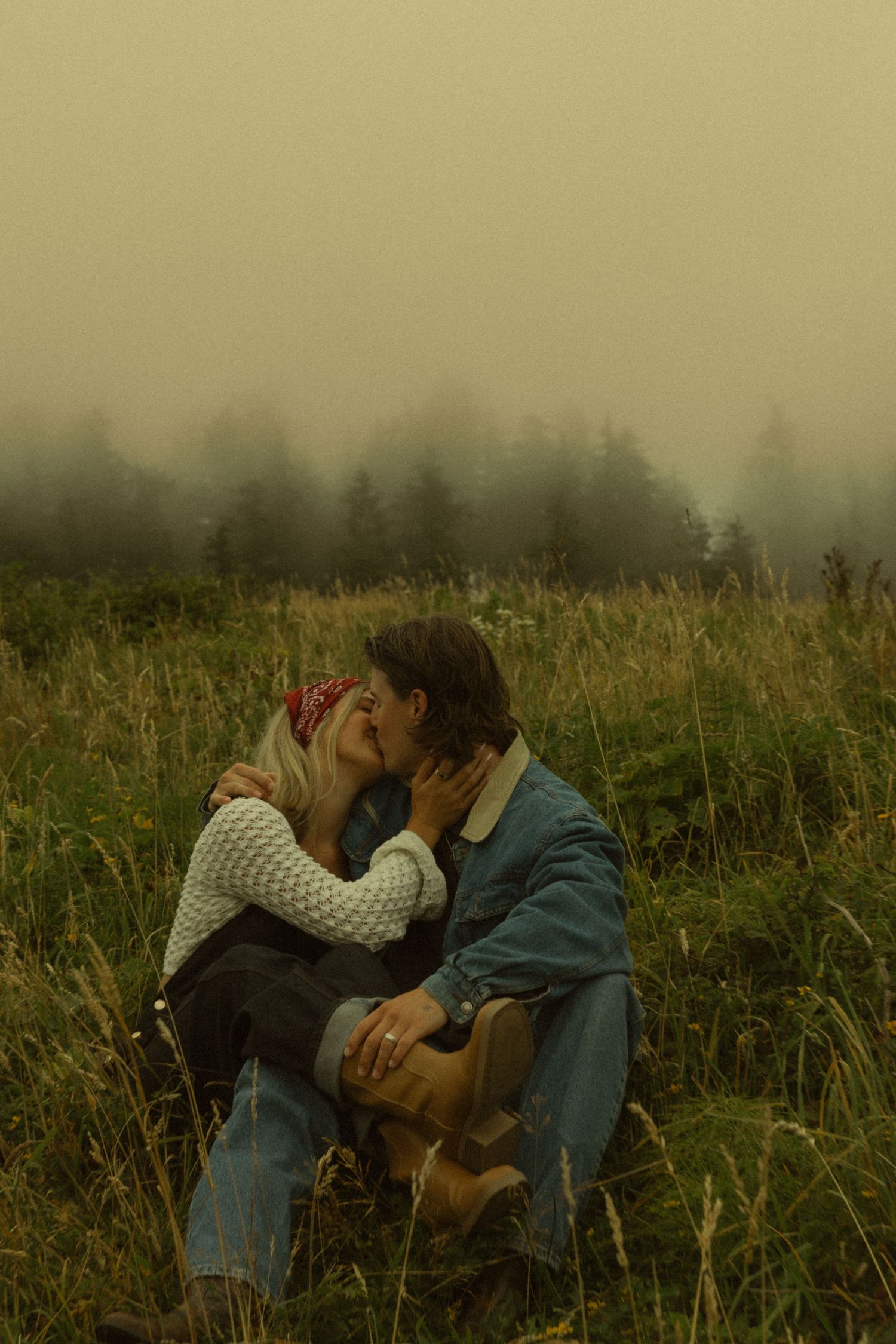 A couple shares a romantic kiss while sitting in tall grass with foggy evergreen trees in the background.