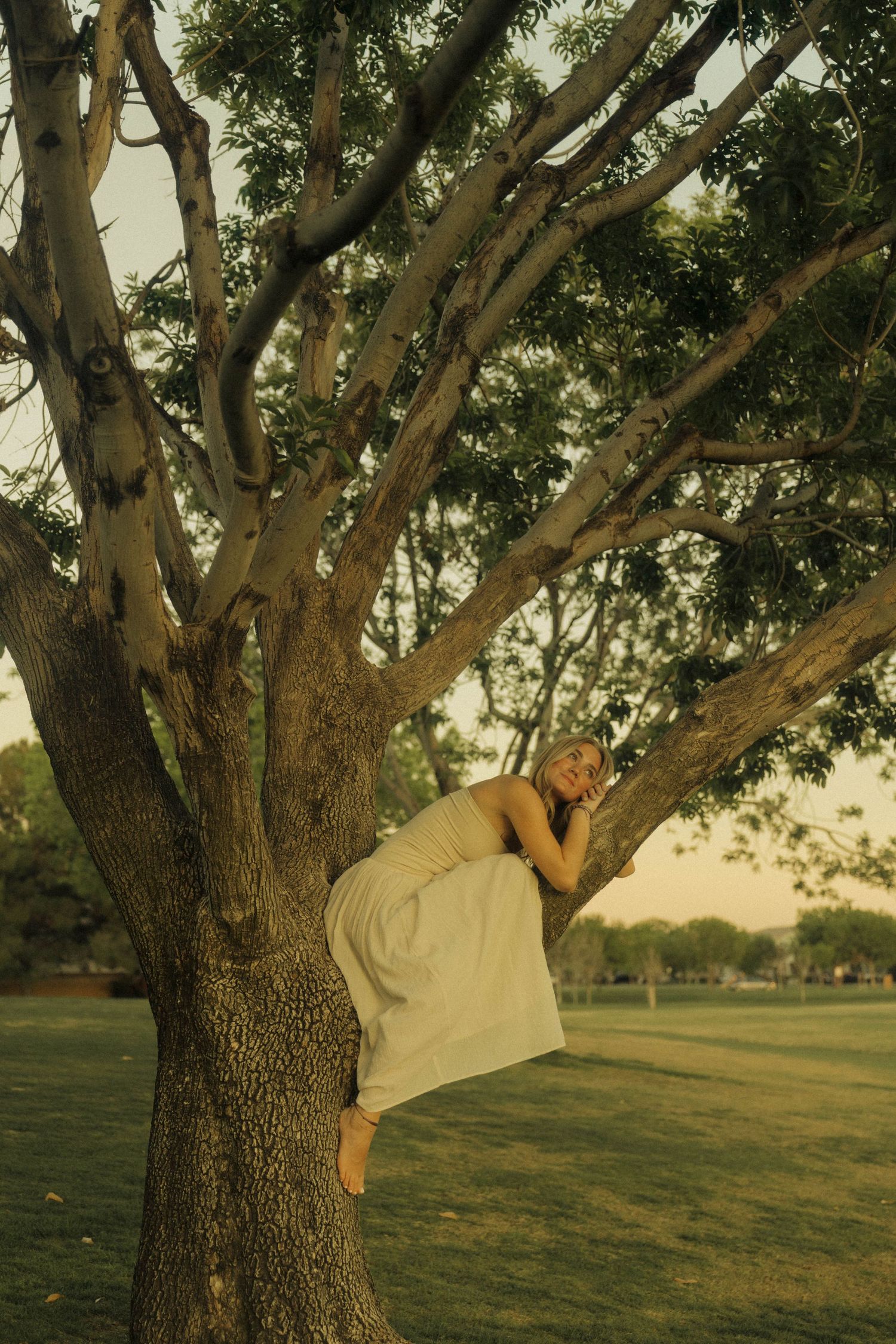 Woman in white maxi dress lying on a tree branch in a park during golden hour.