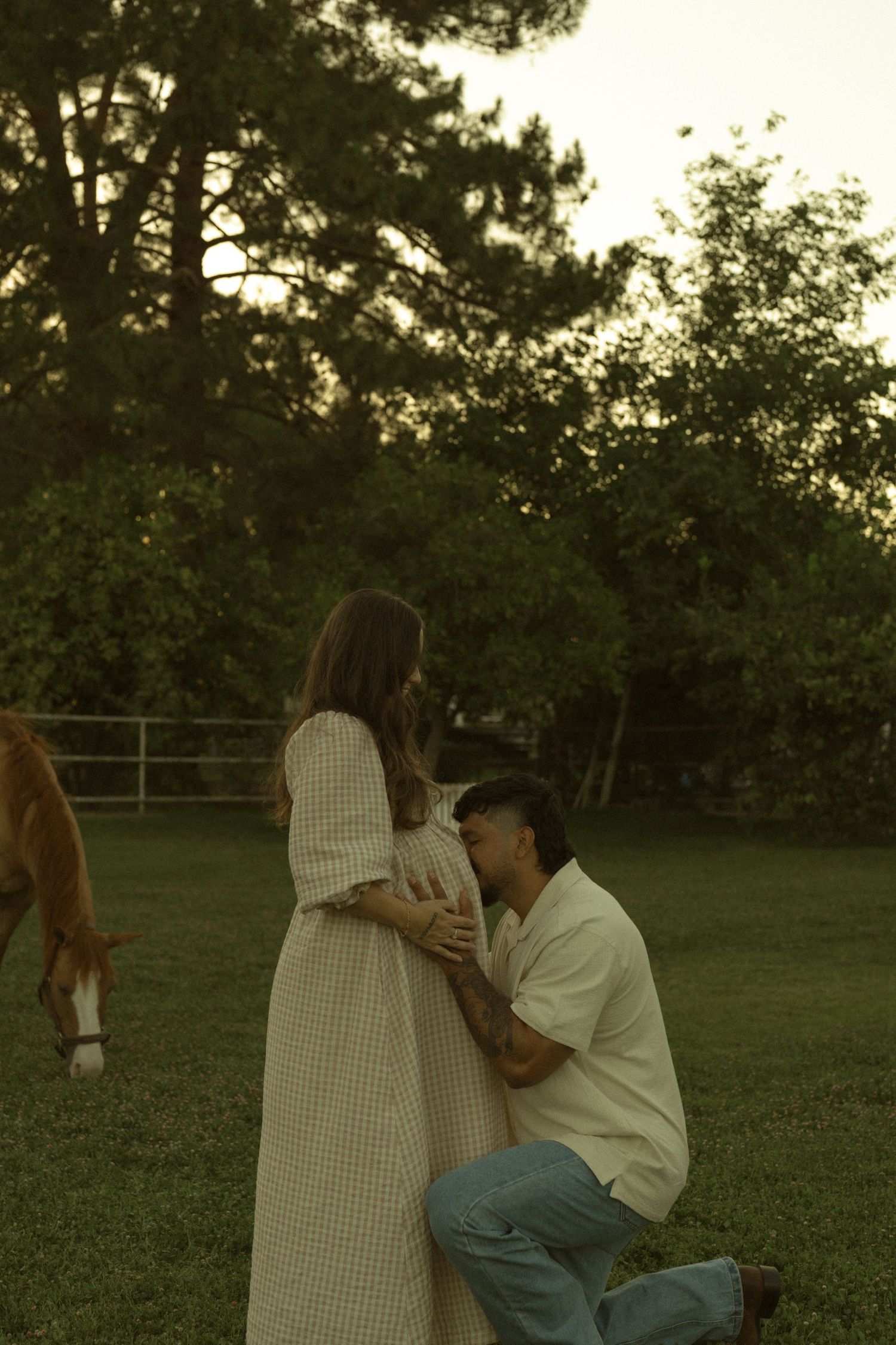 Man kneeling and kissing pregnant woman's belly in a serene green field with a horse grazing at dusk.