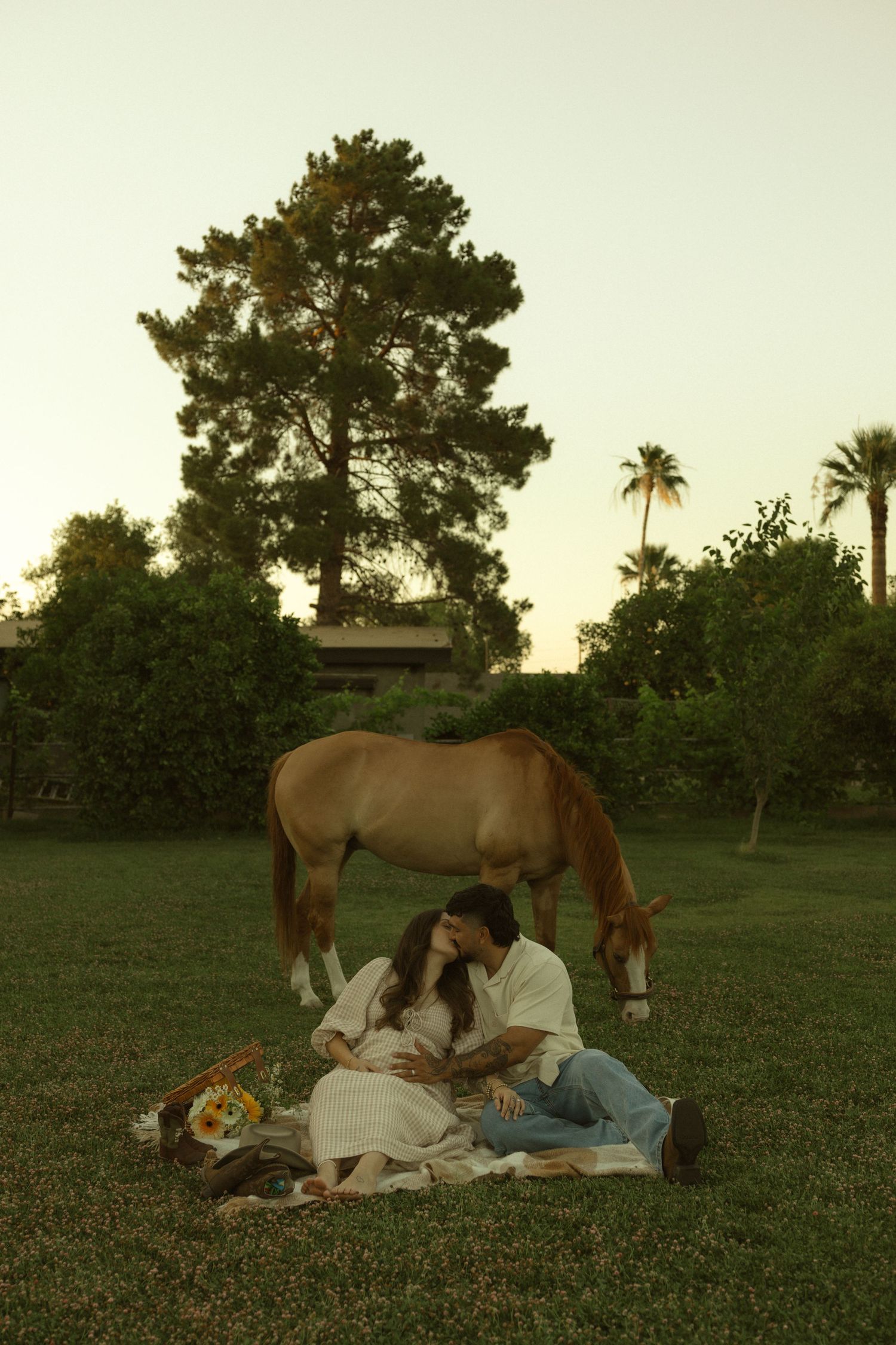 Couple sitting on a blanket in a green field at sunset with a grazing brown horse and tall trees behind them.