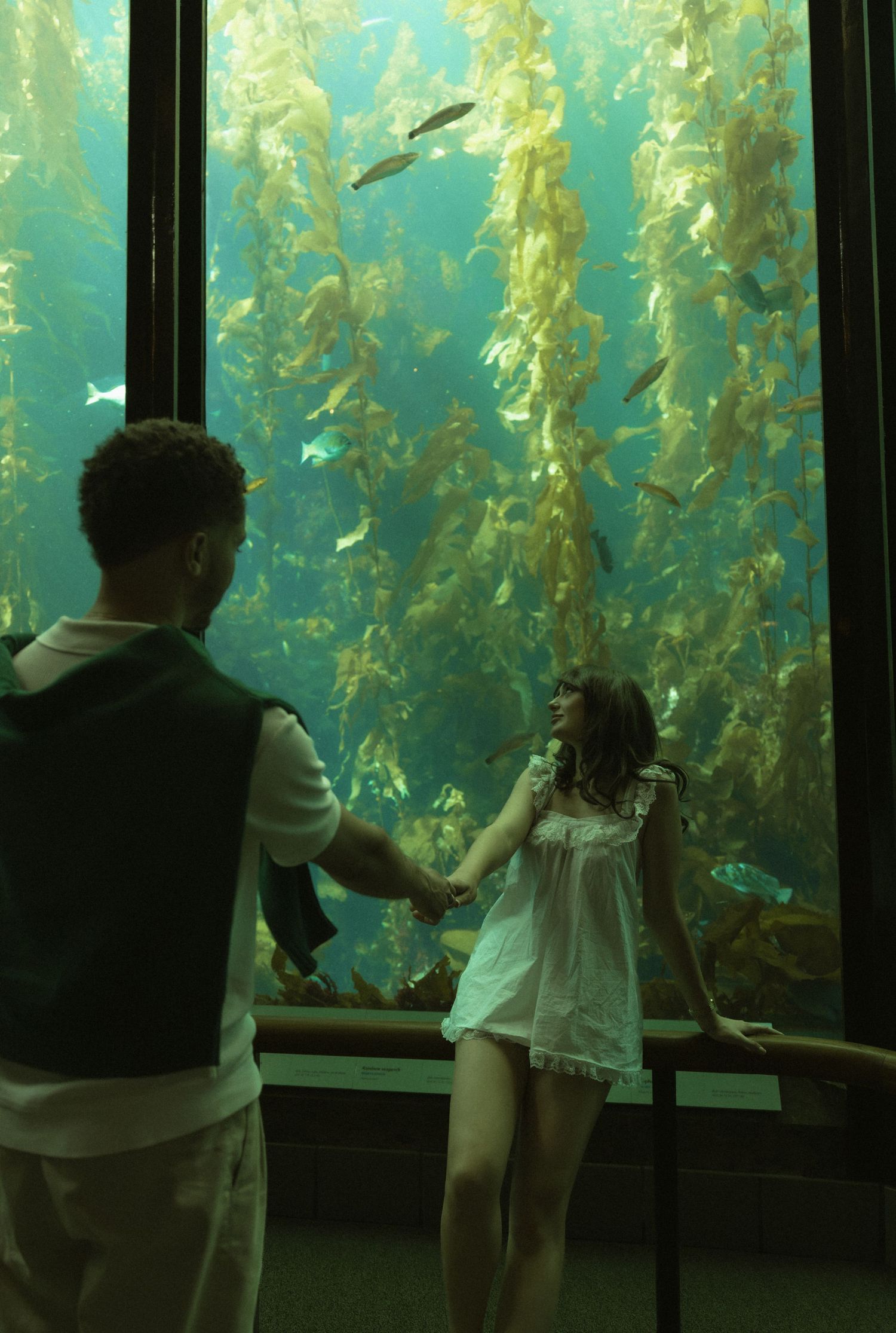 Couple holding hands in front of a large kelp forest aquarium tank with fish swimming among tall seaweed.