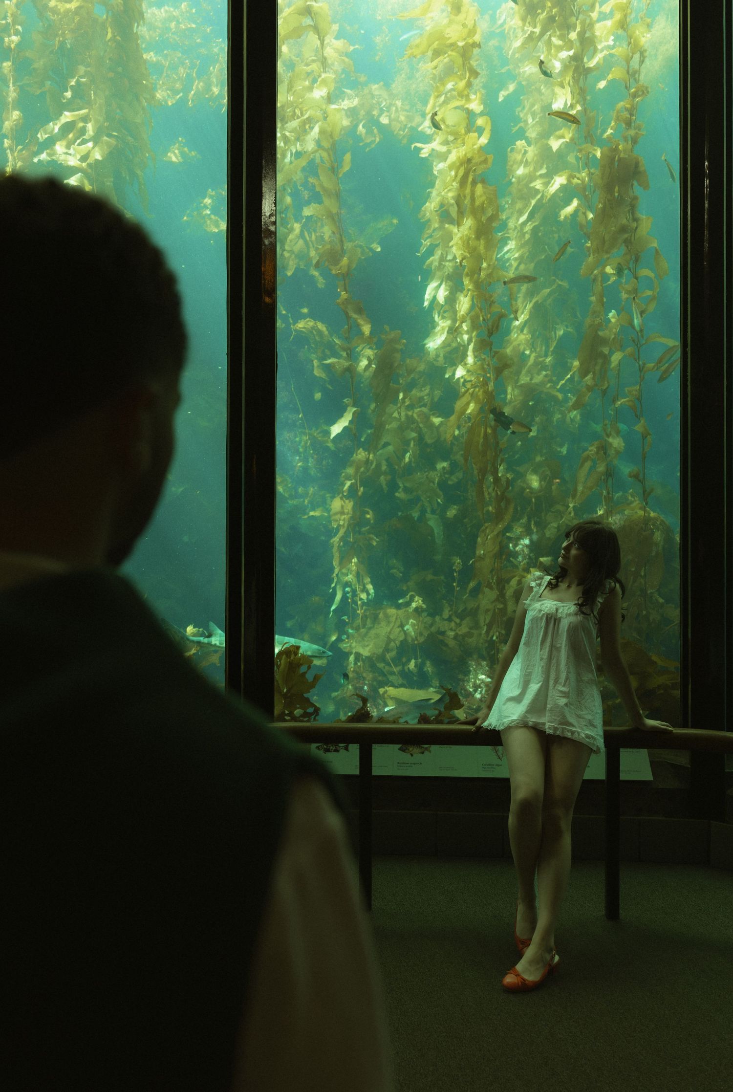 Woman in white dress stands before a large aquarium kelp forest exhibit while a visitor observes in foreground.