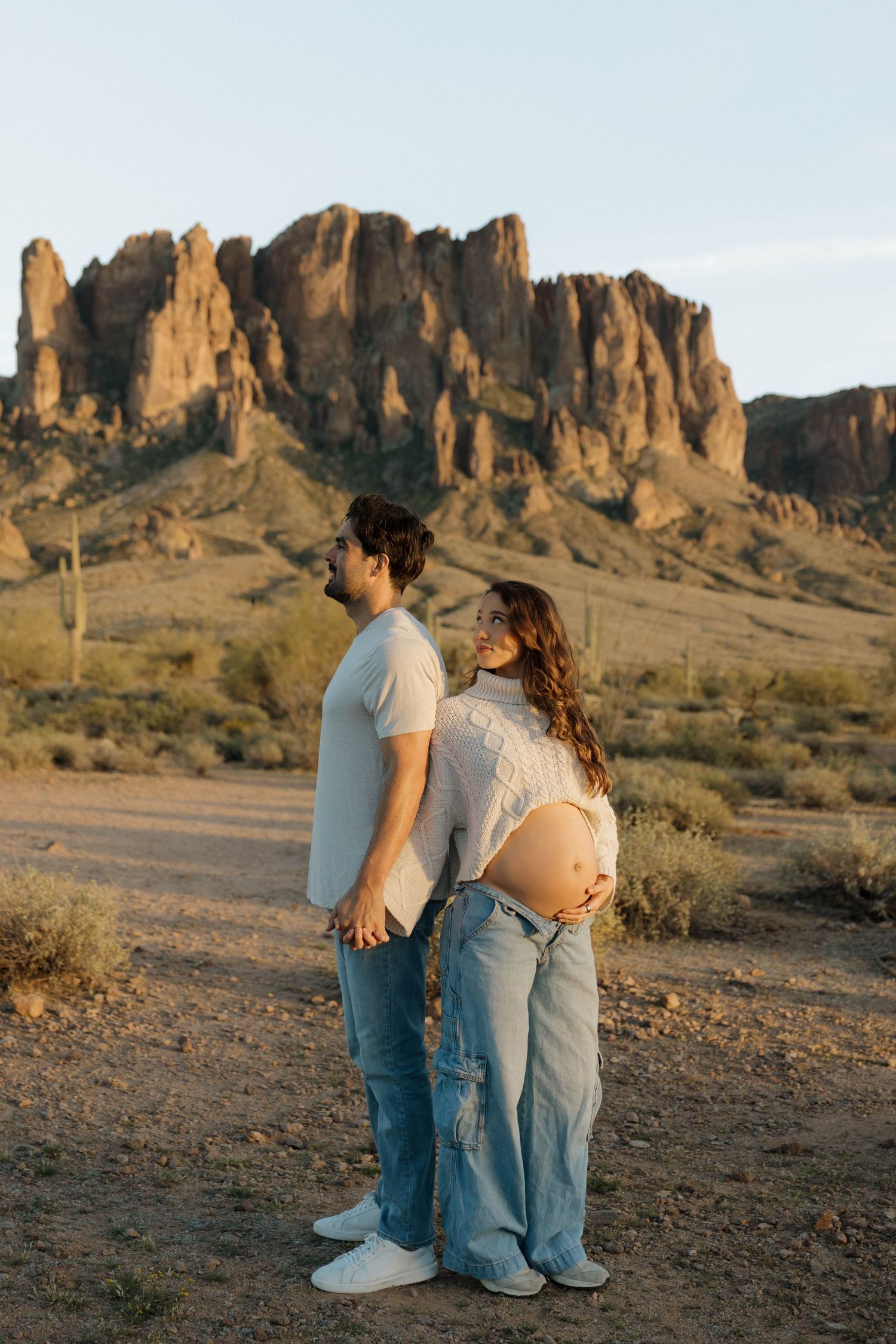 A desert landscape with rocky formations in the background at sunset.