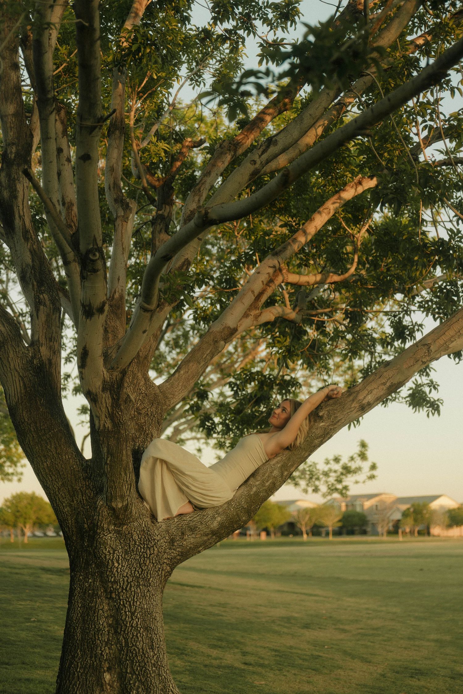 Woman in white dress lying gracefully on tree branches in a sunlit park.