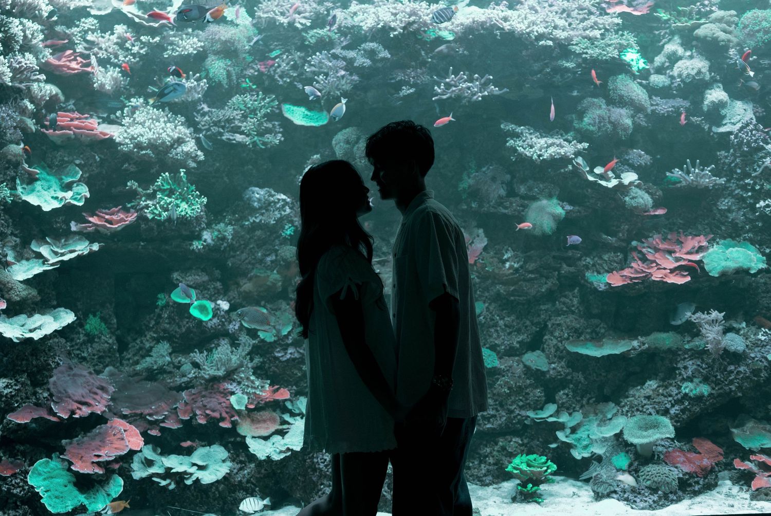 Aquarium scene with turquoise water and coral formations creating an underwater atmosphere.