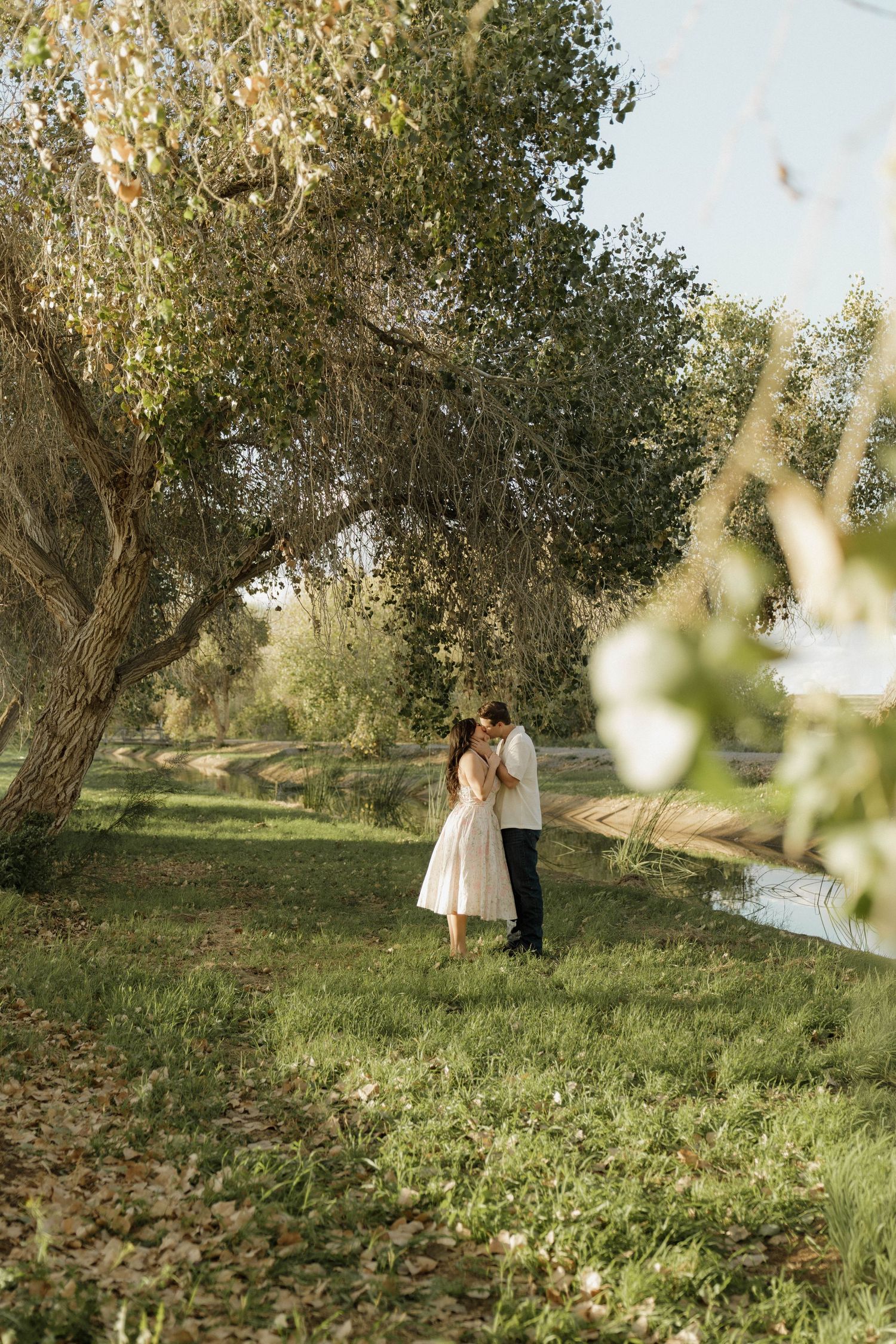 A romantic photoshoot sequence in a scenic park with trees and natural lighting.