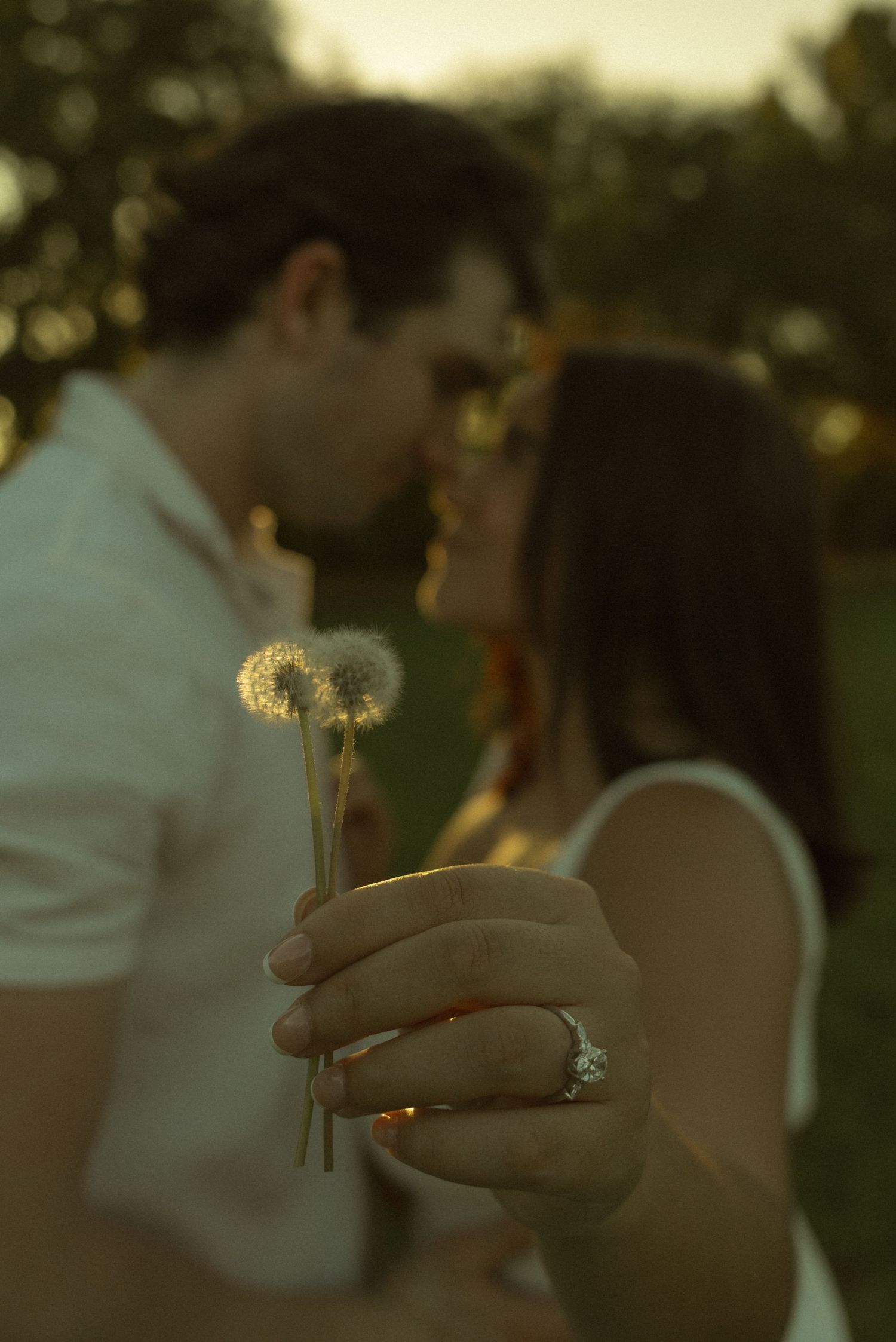 Couple sharing a romantic kiss outdoors at sunset, holding dandelions, with an engagement ring visible on her hand.