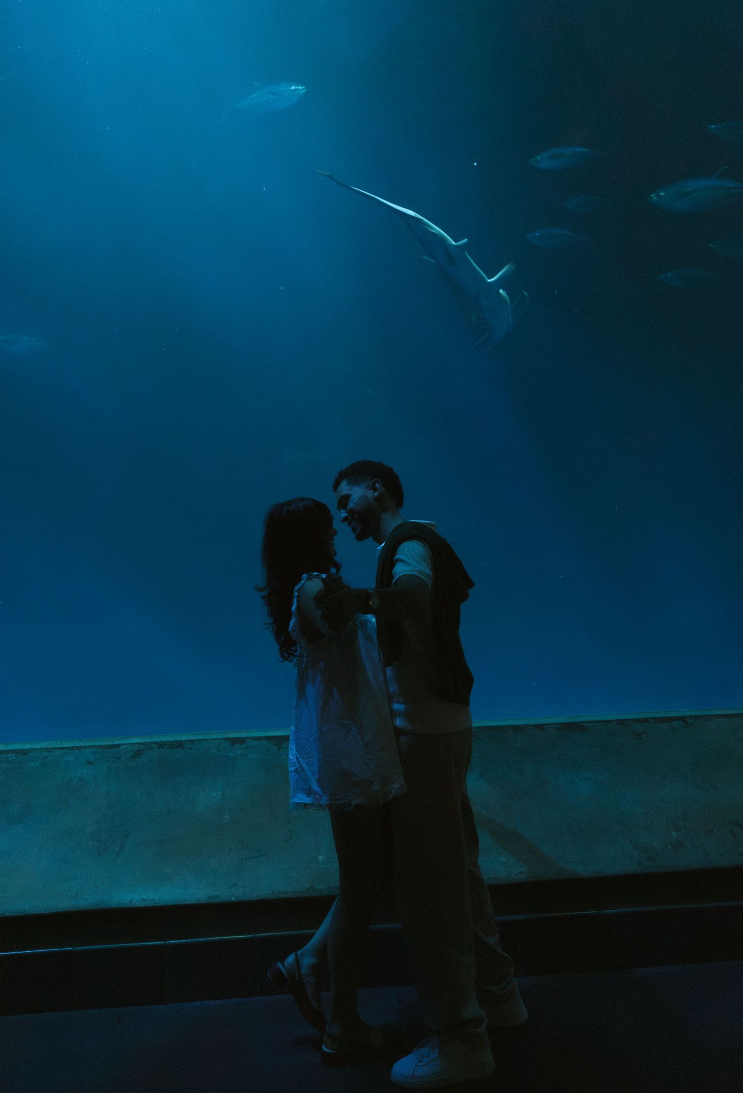 Romantic couple sharing a kiss in front of a large aquarium tank with a shark swimming above.