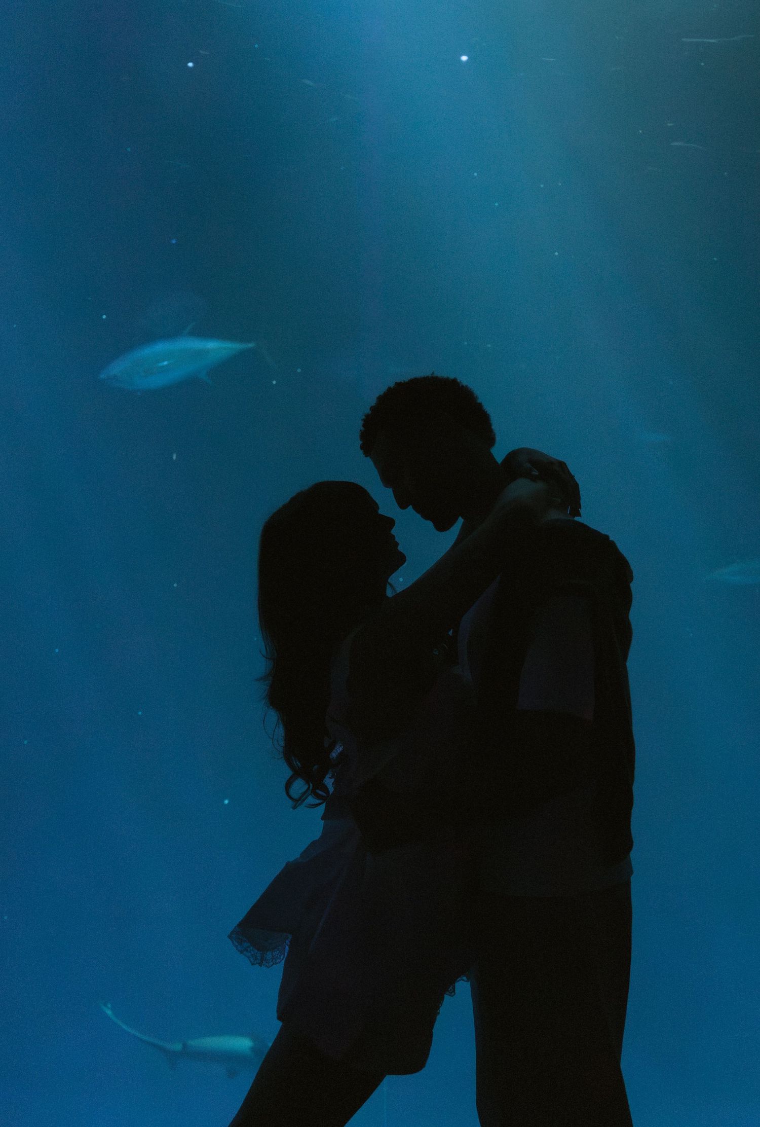 Romantic couple silhouette embracing in front of a glowing blue aquarium tank with fish swimming behind them.
