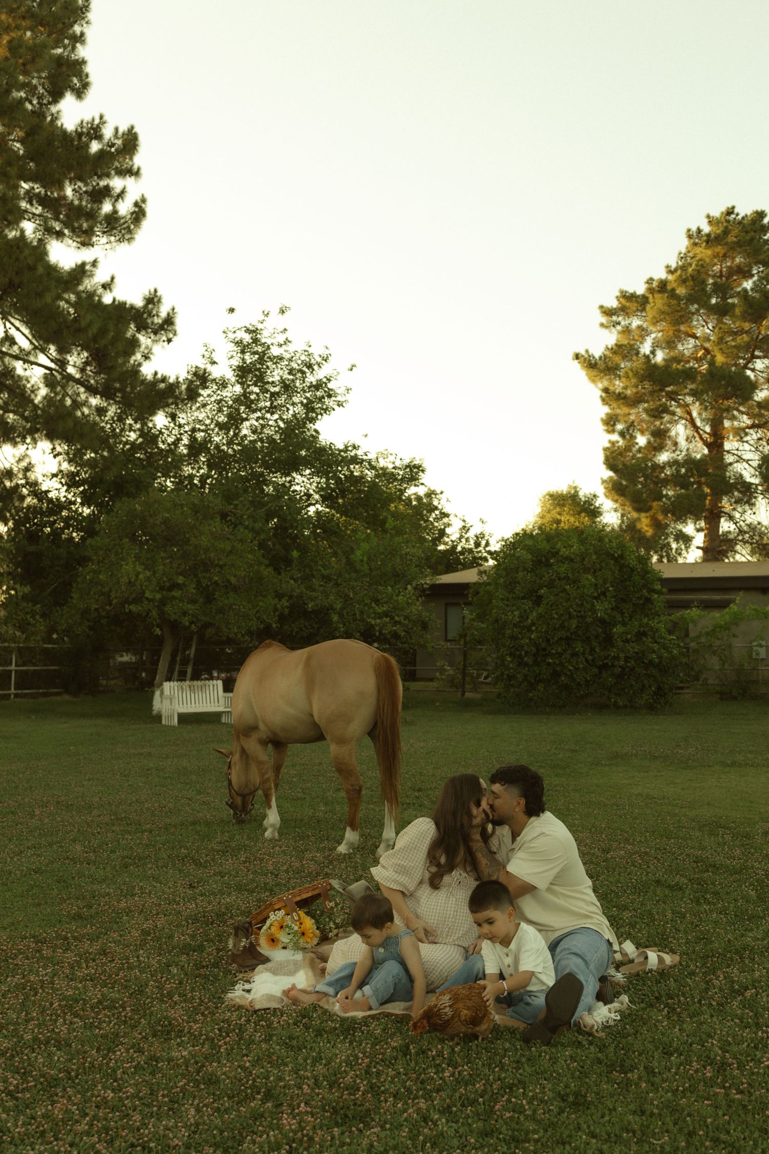 Family enjoying a picnic on grass with a grazing horse and trees at dusk.