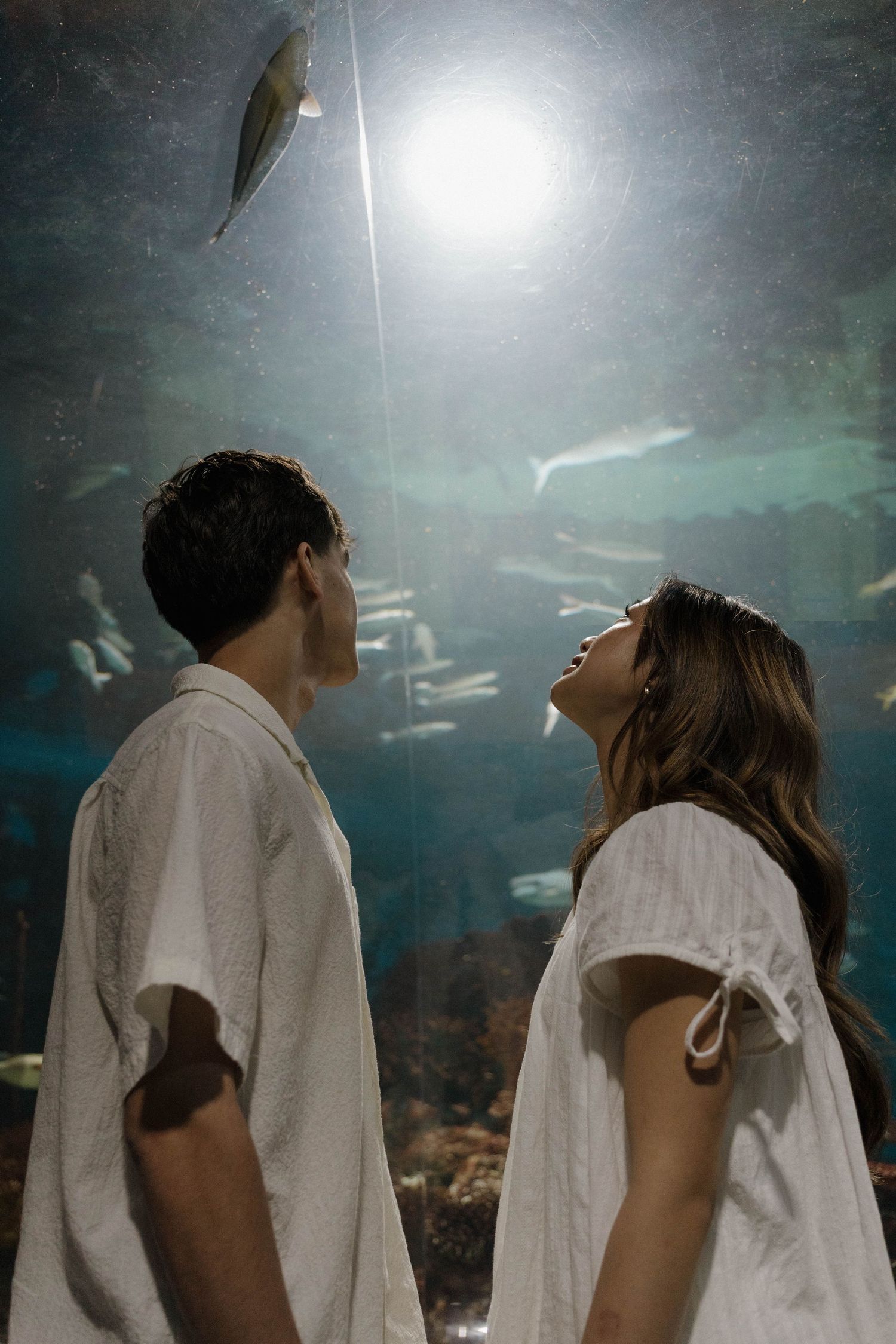 Figures gazing upward at illuminated fish swimming in an aquarium tank.